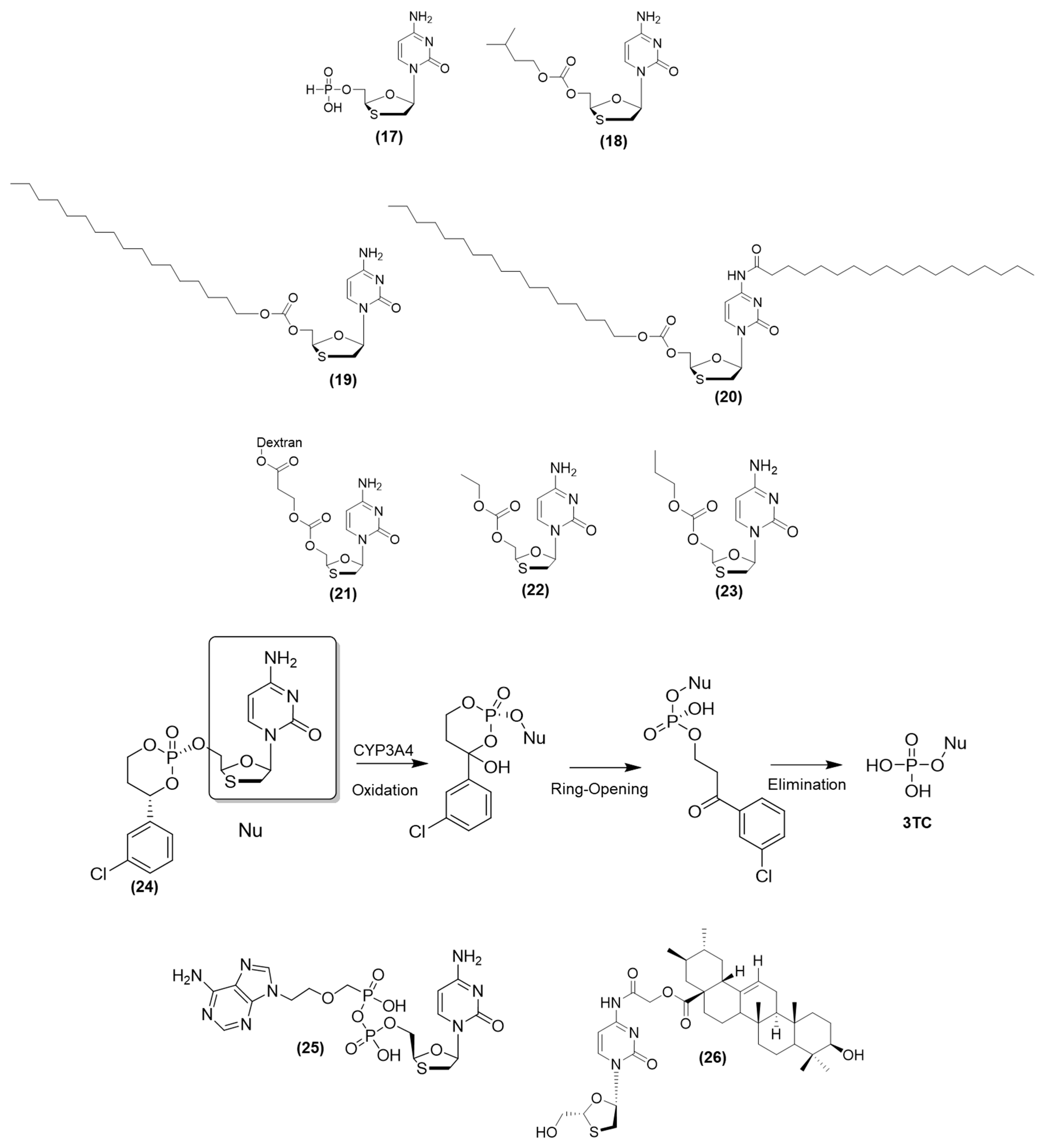 Viruses 15 02234 g007