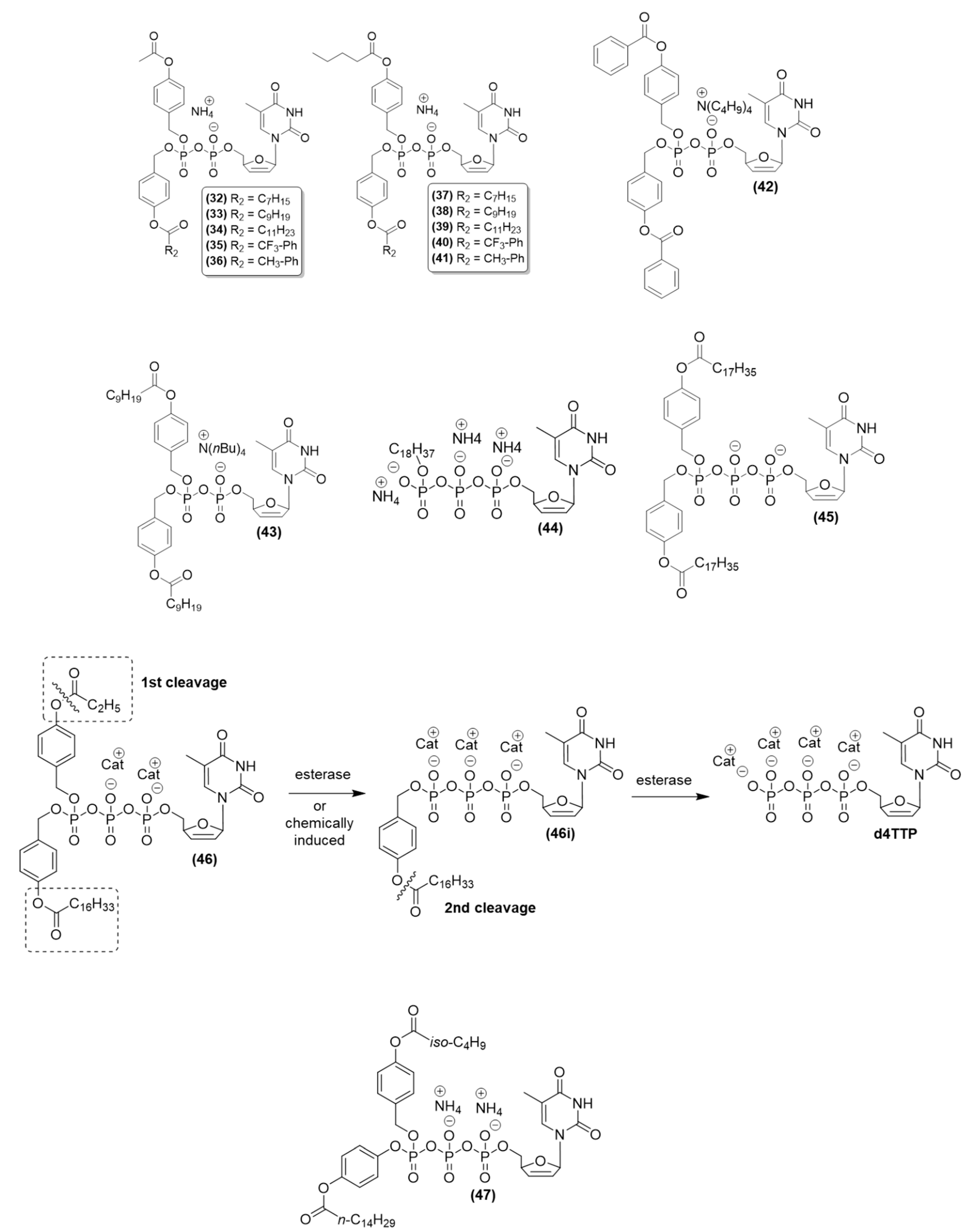 Viruses 15 02234 g010
