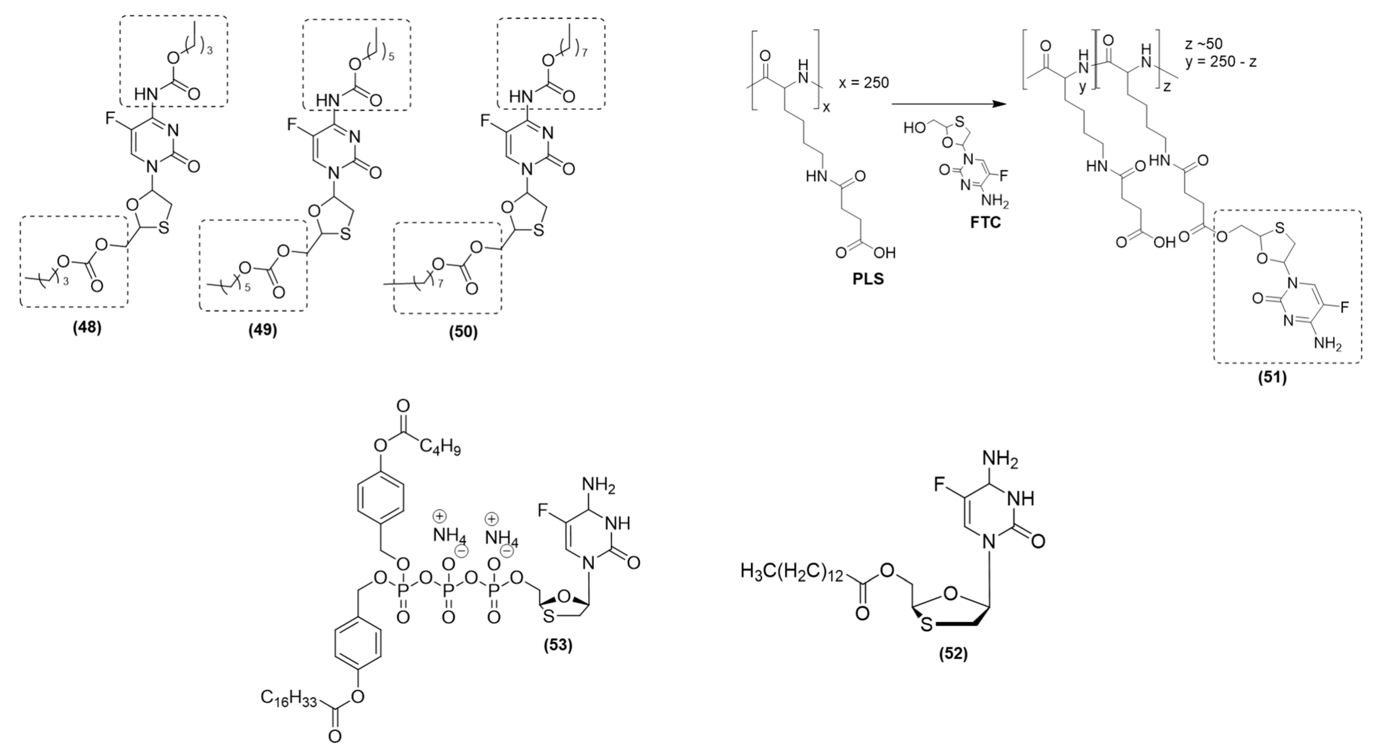 Viruses 15 02234 g011