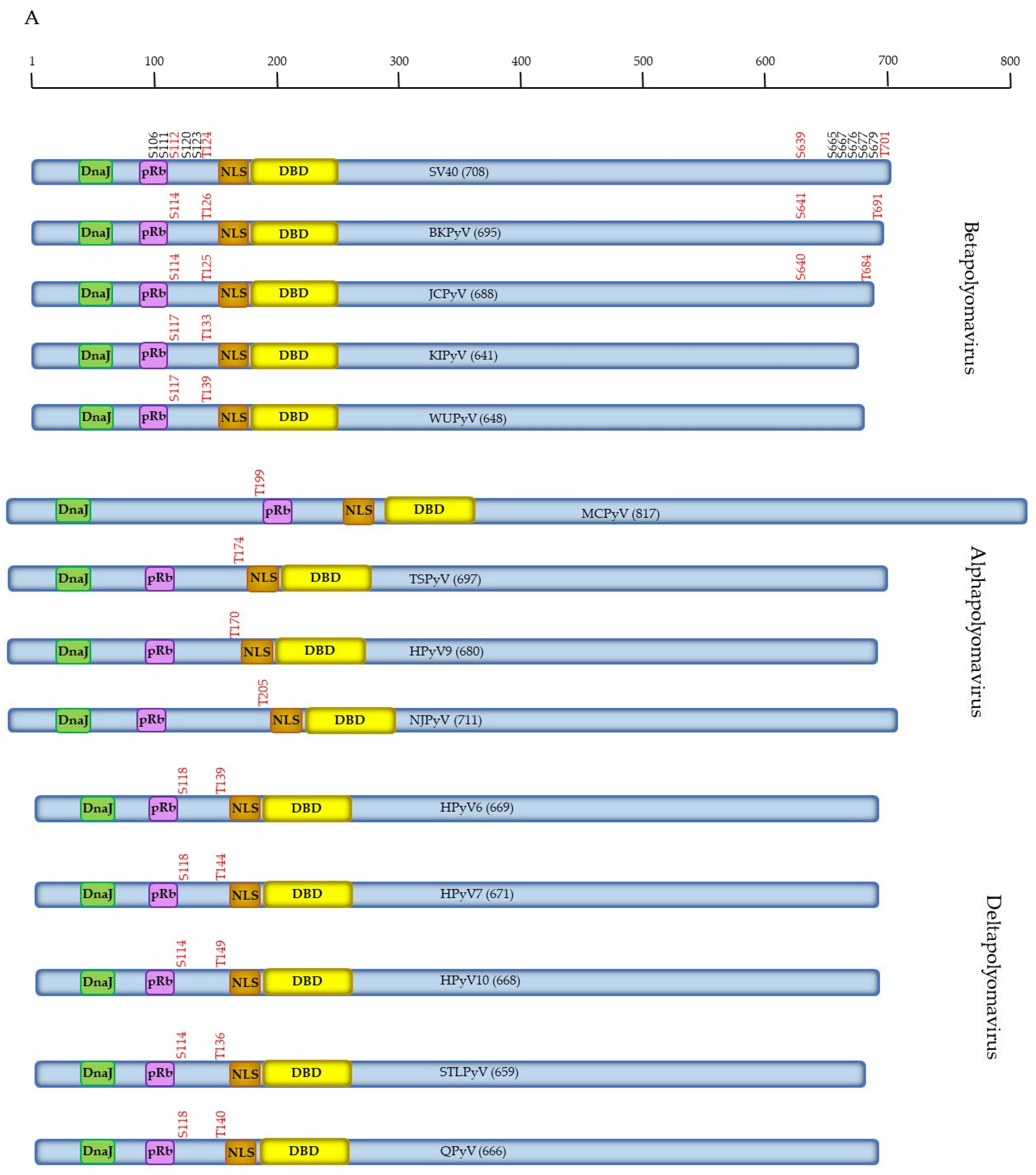 Viruses 15 02235 g001a