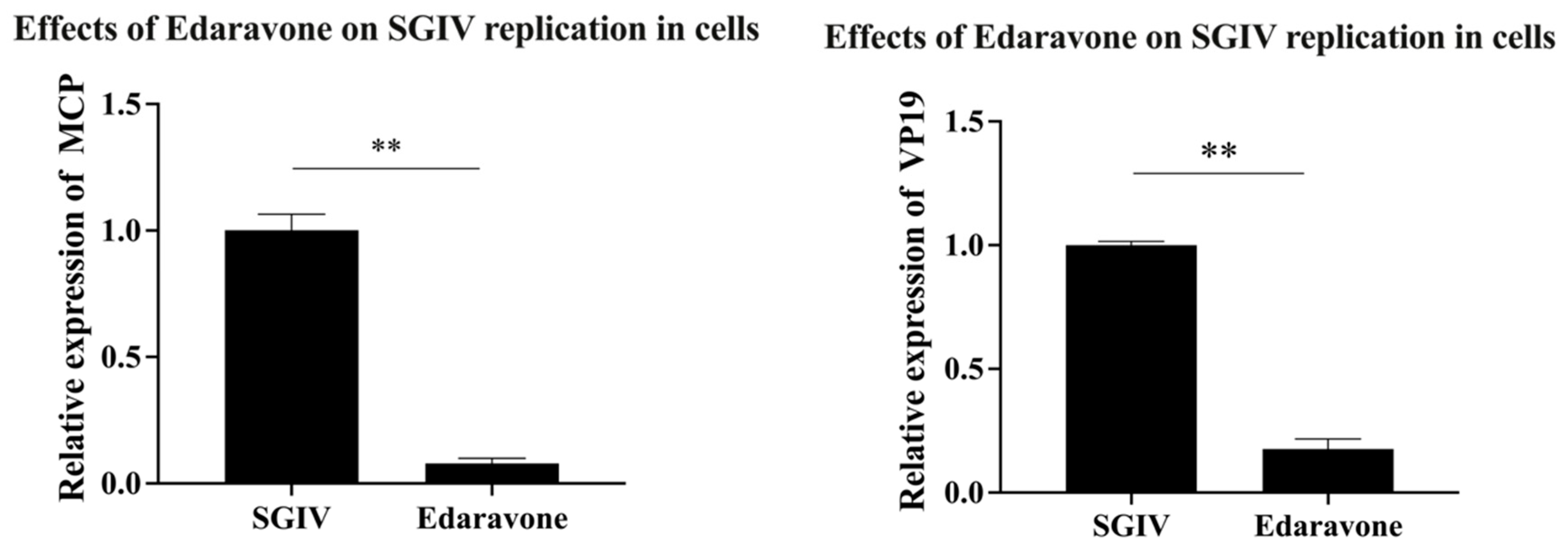 Viruses 15 02237 g005