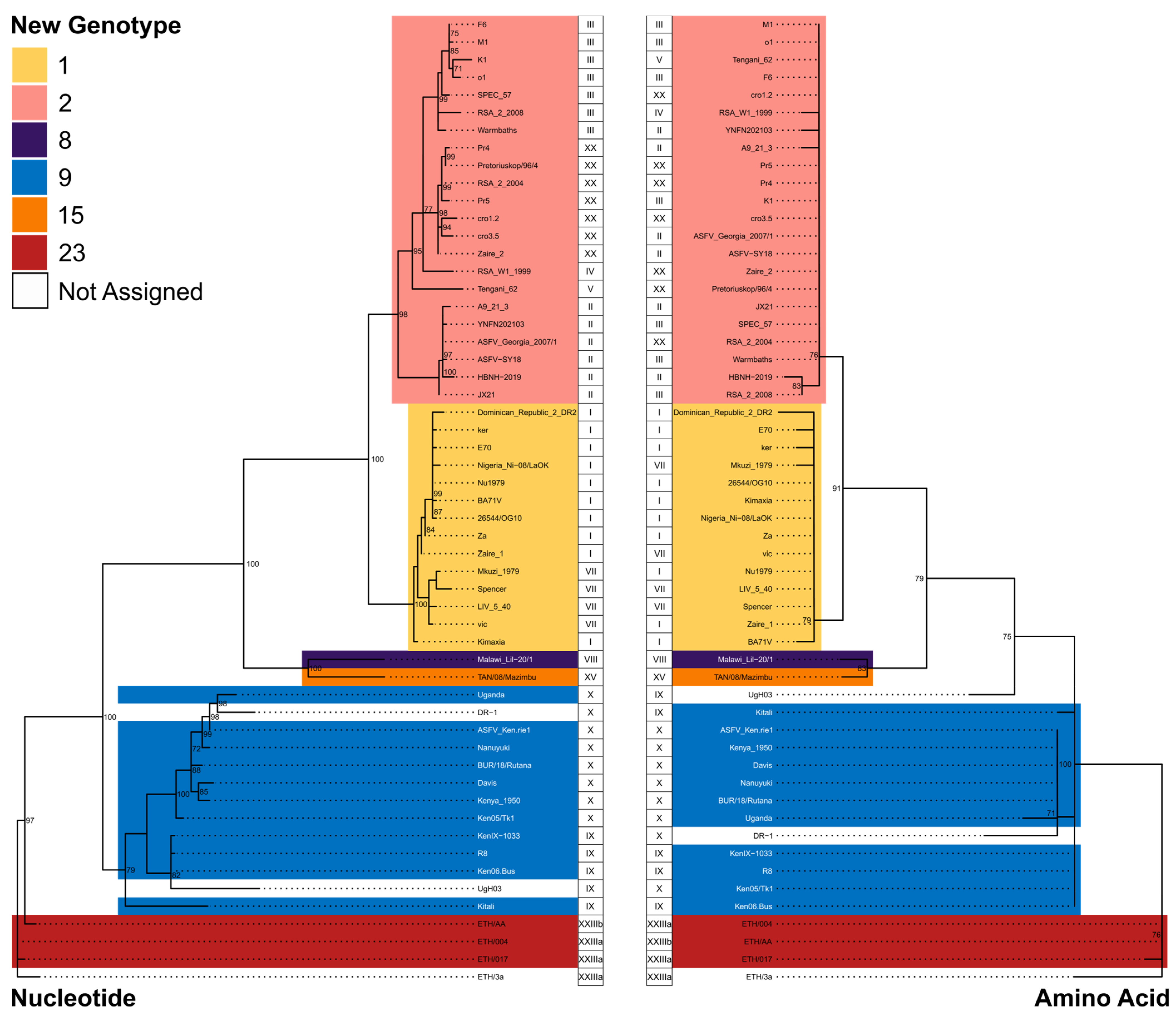 Viruses 15 02246 g003