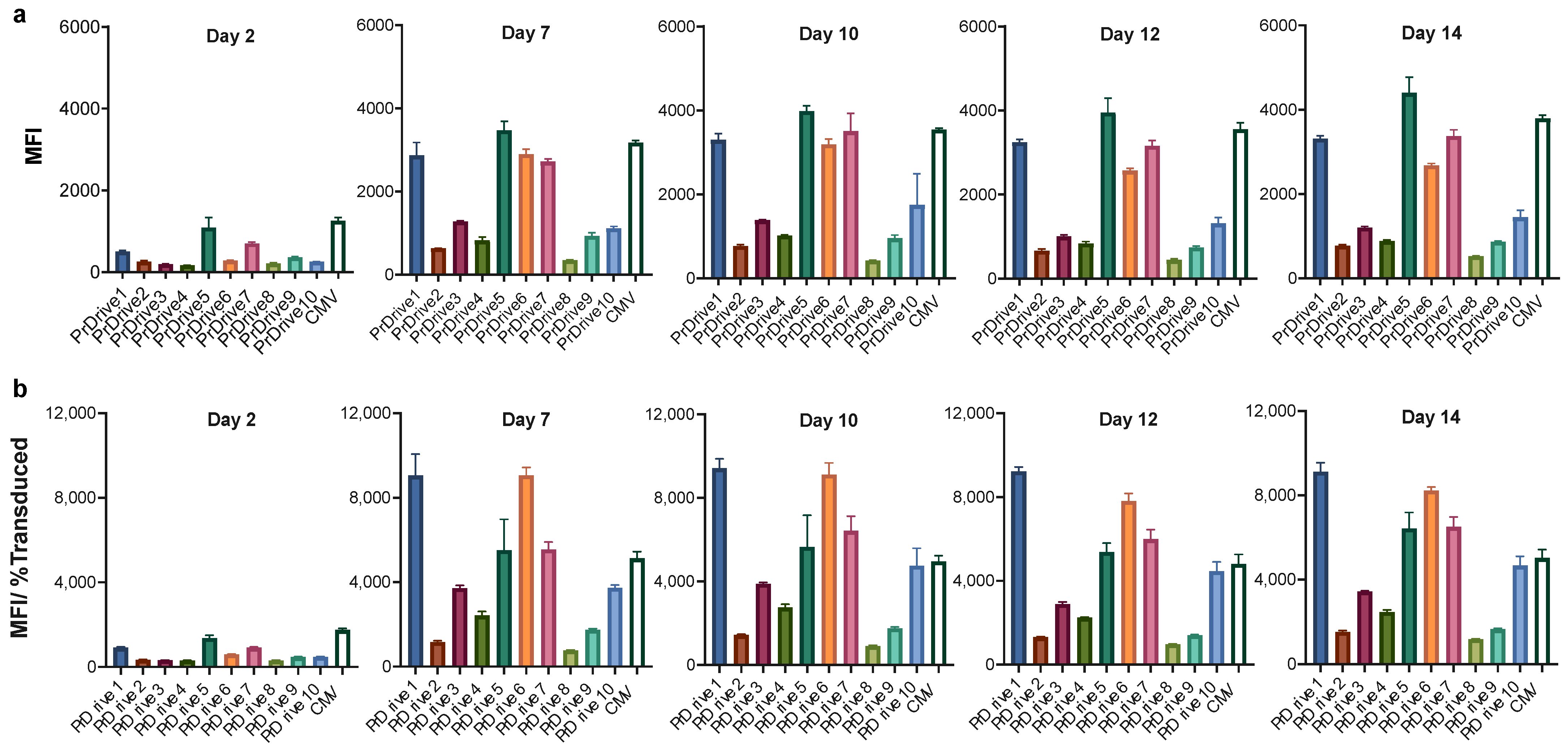 Viruses 15 02255 g001