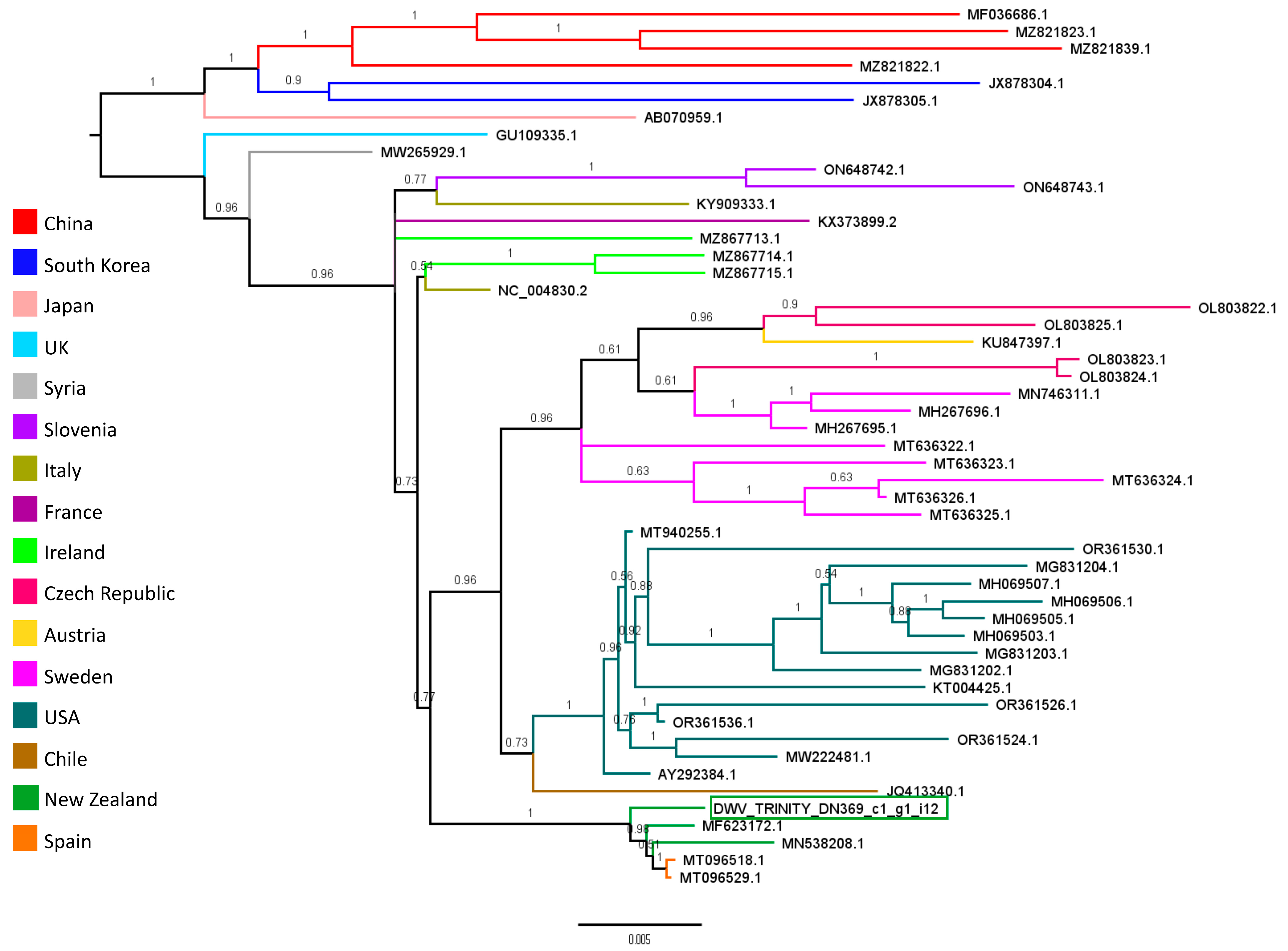 Viruses 15 02259 g006