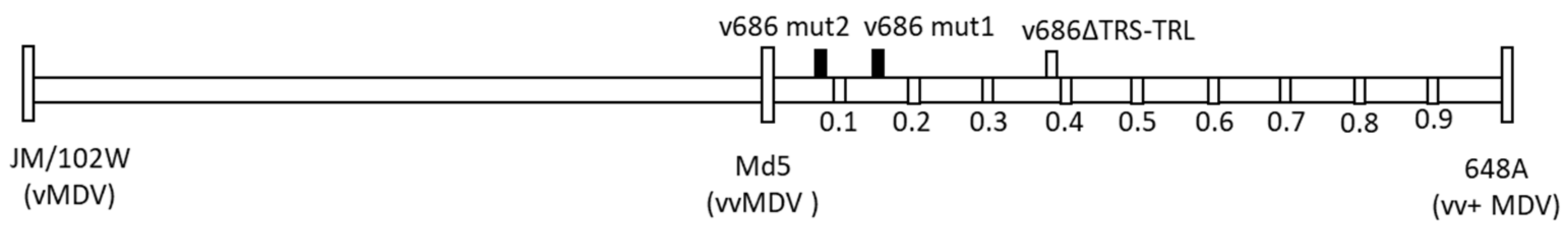 Viruses 15 02263 g004