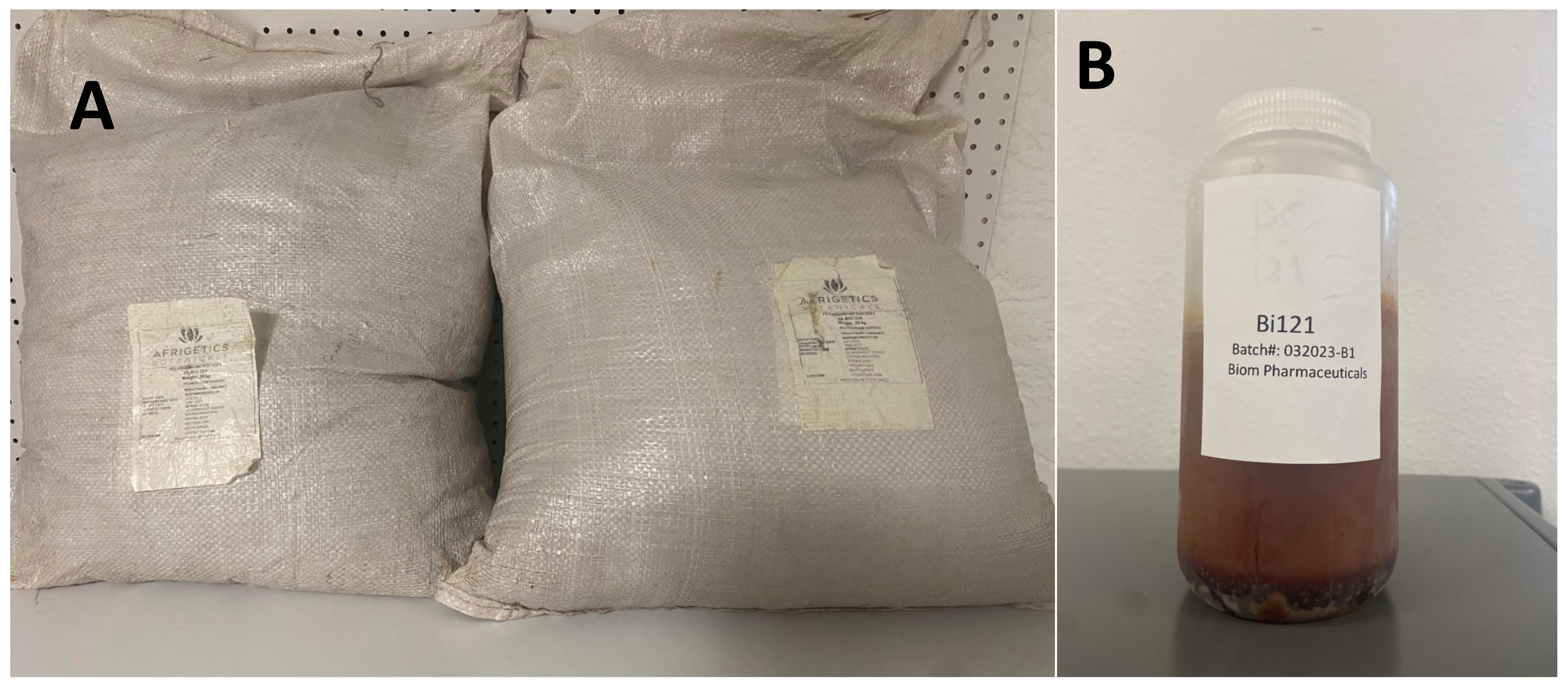 Viruses 15 02269 g002