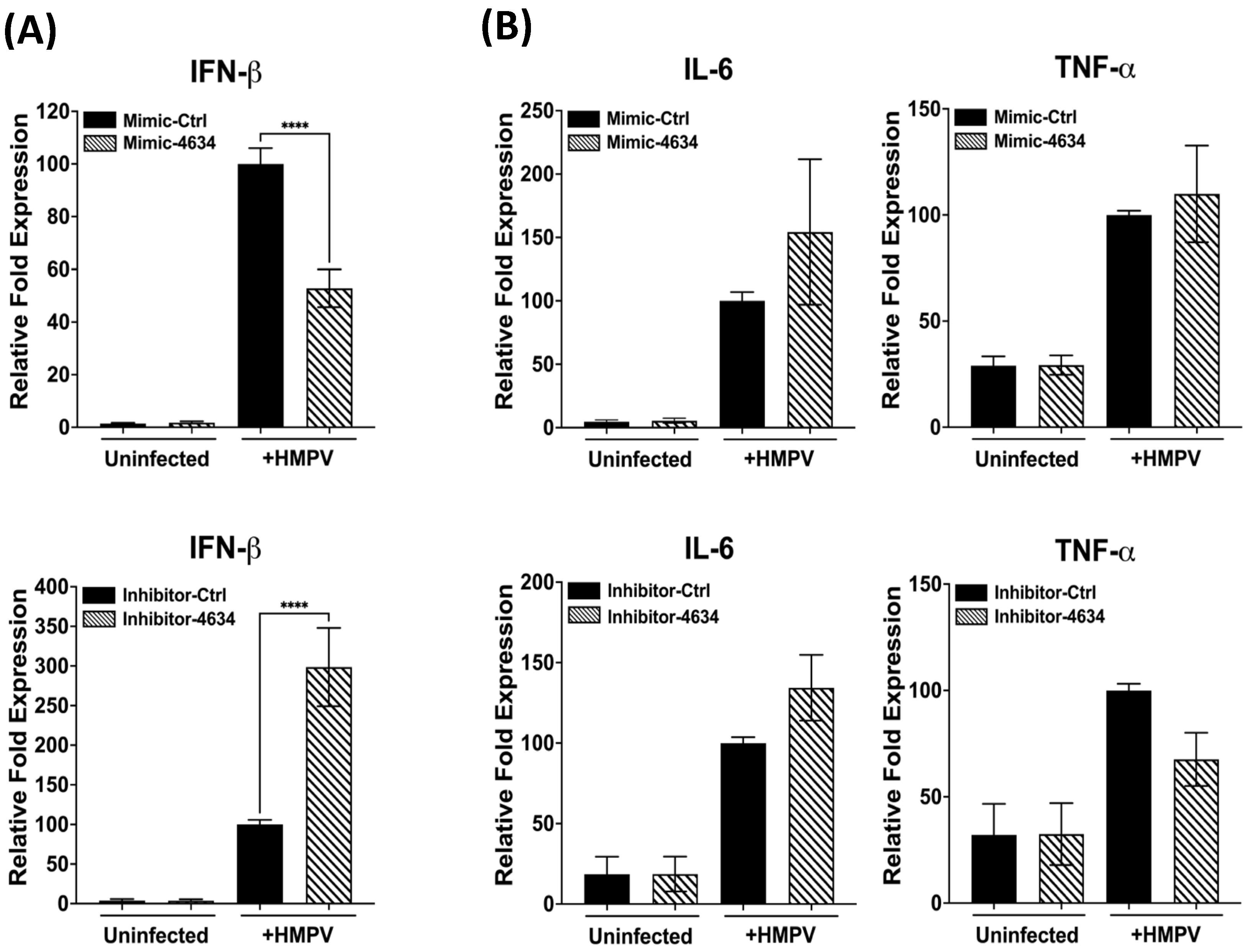 Viruses 15 02272 g004