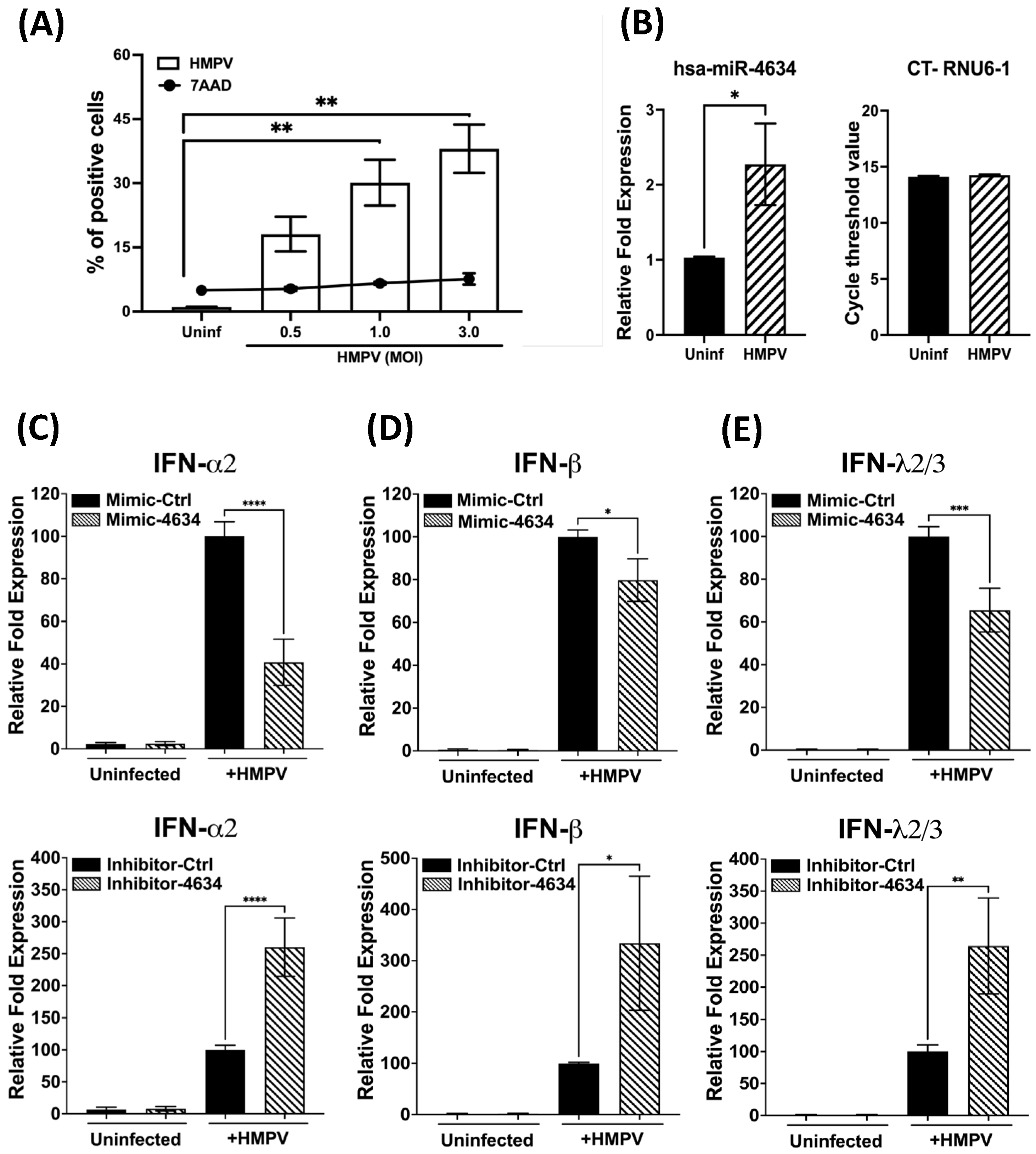 Viruses 15 02272 g006