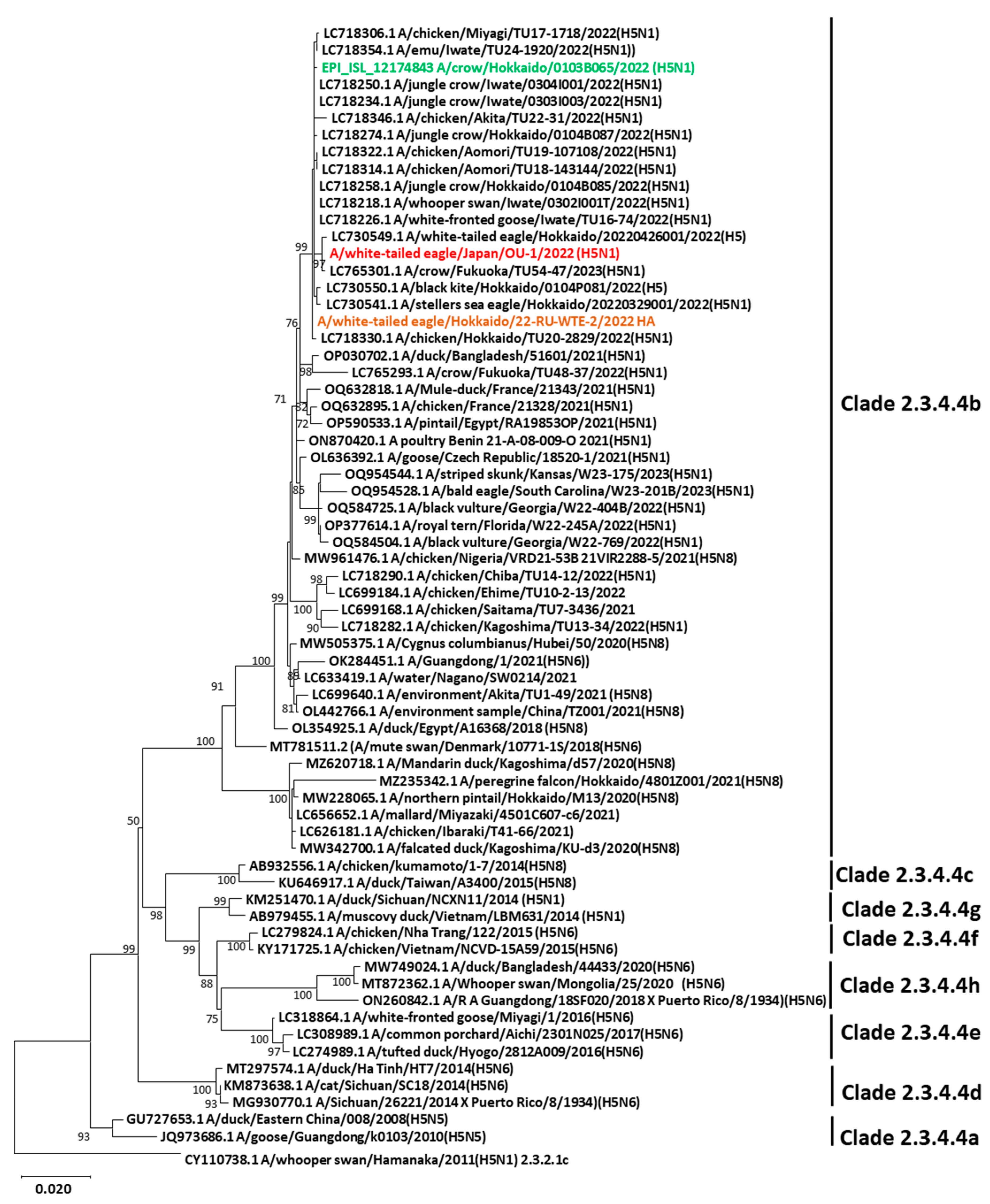 Viruses 15 02274 g002