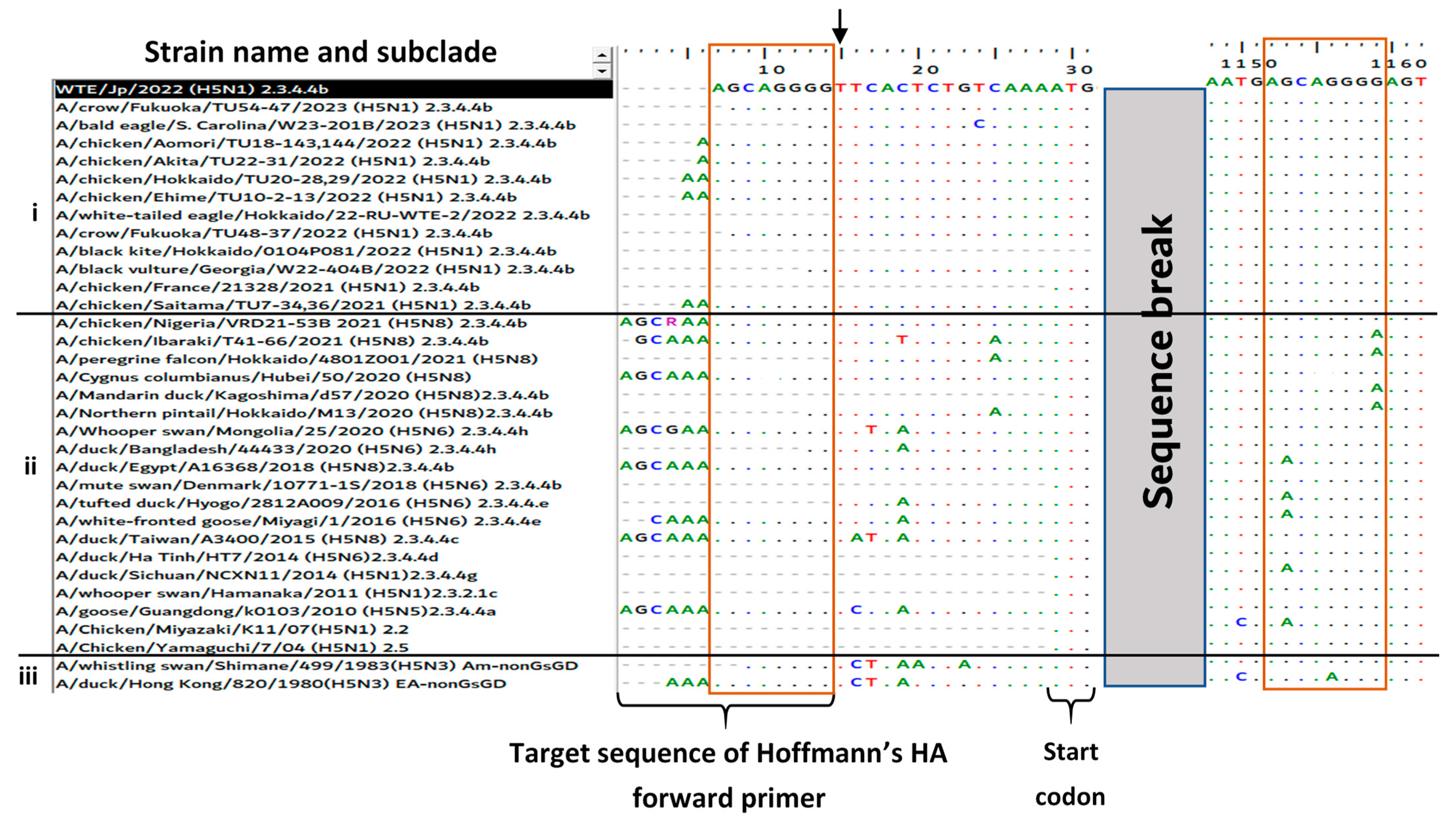 Viruses 15 02274 g003