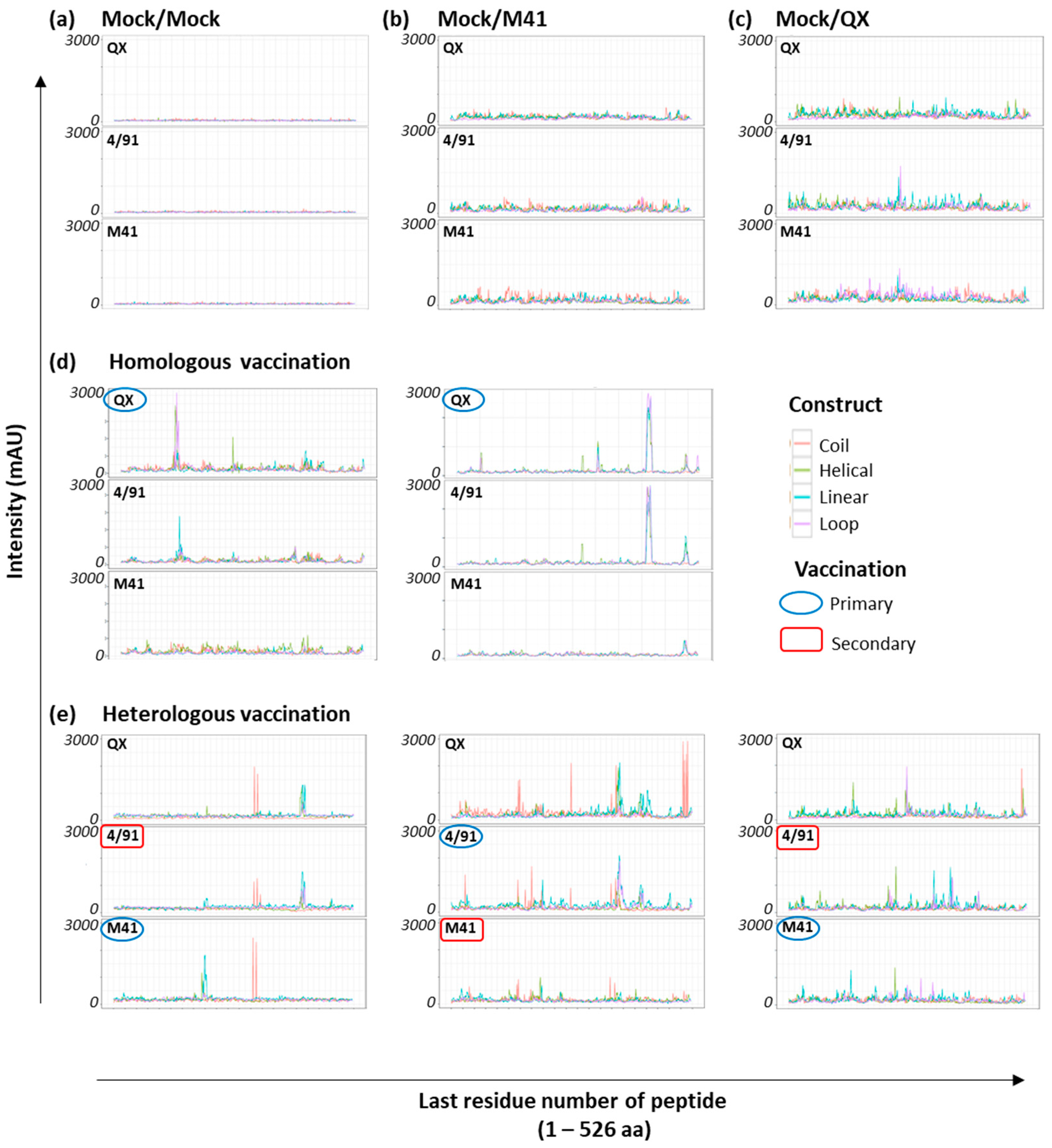 Viruses 15 02279 g002 Viruses 15 02279 g002