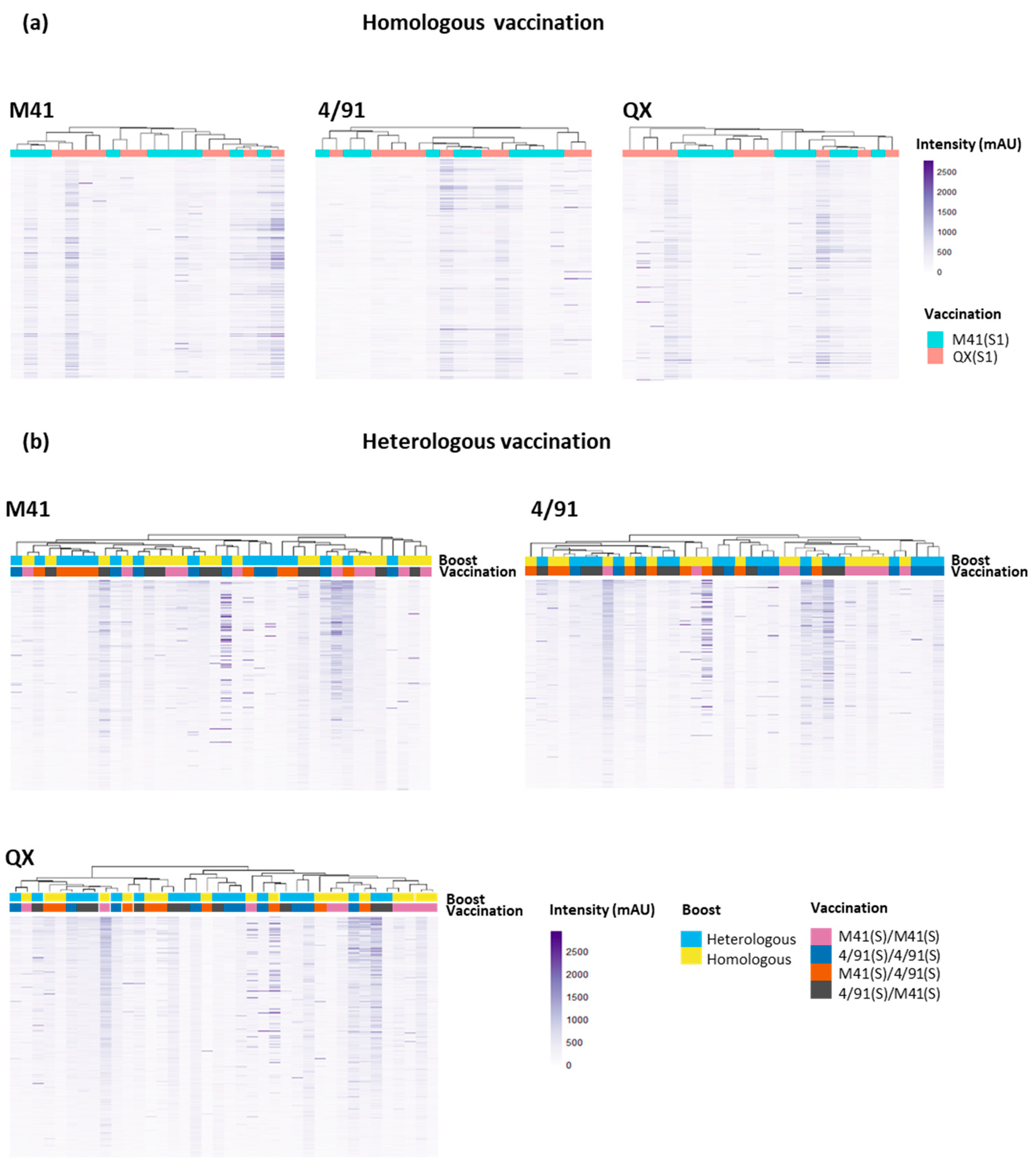 Viruses 15 02279 g004 Viruses 15 02279 g004