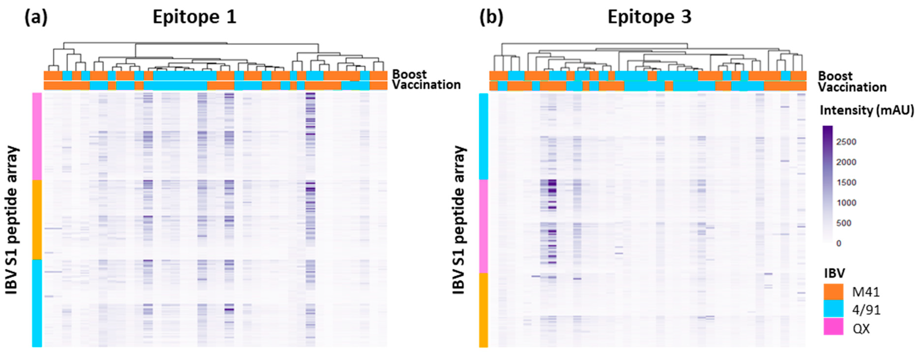 Viruses 15 02279 g007 Viruses 15 02279 g007