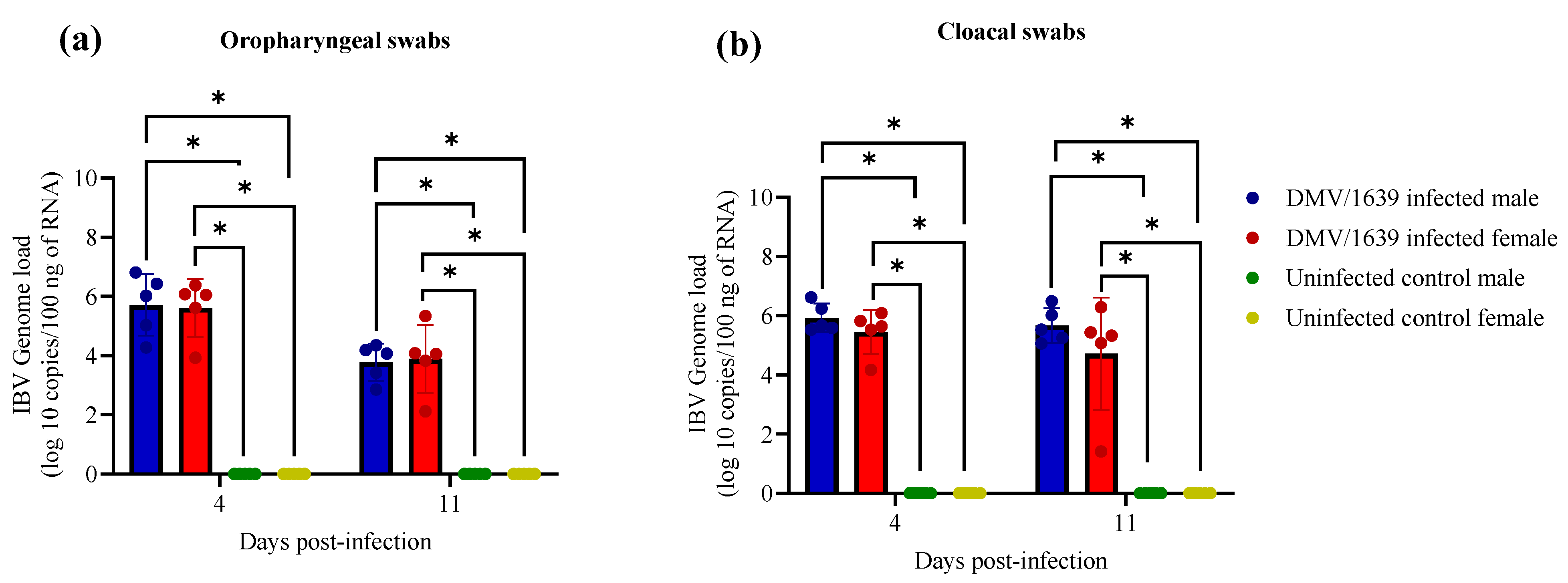 Viruses | free full-text | comparison of infectious bronchitis virus