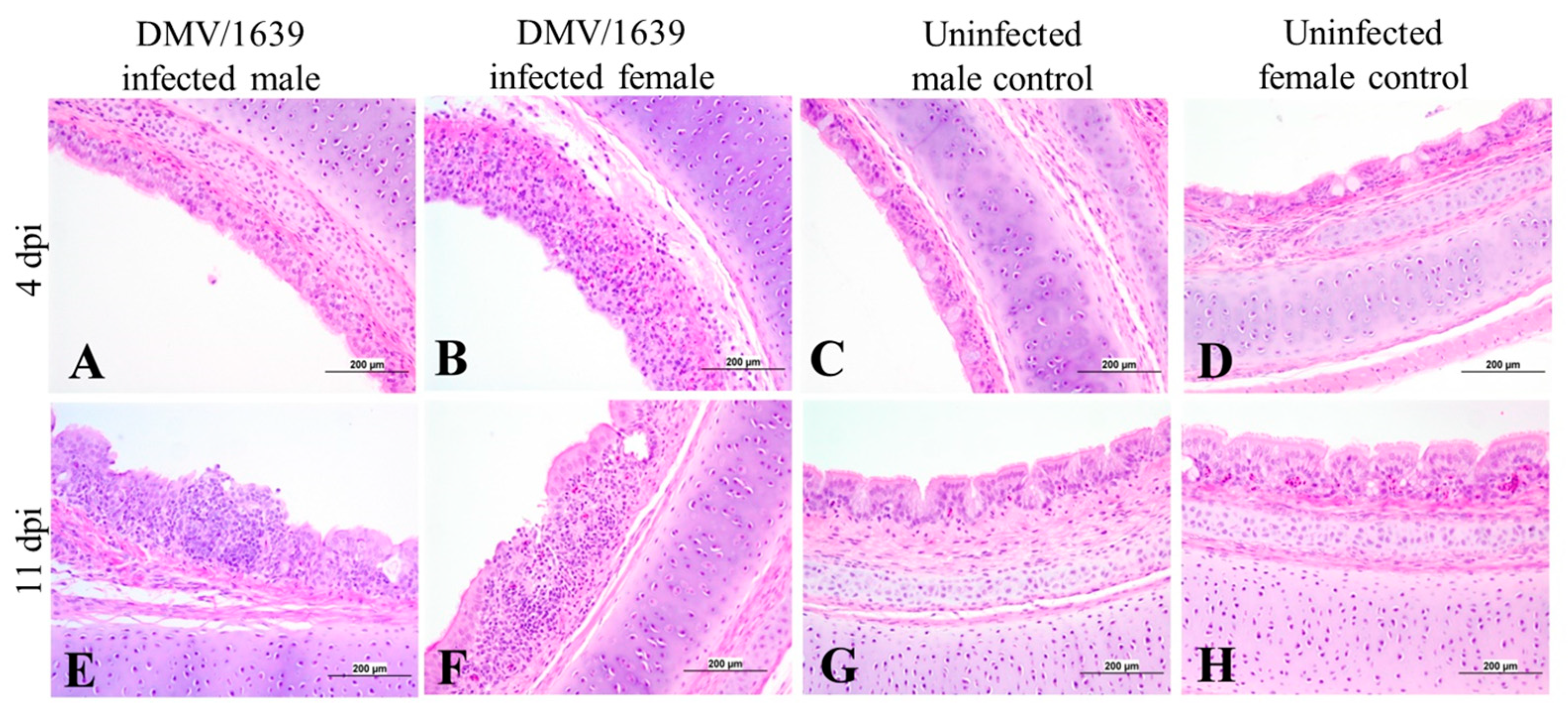 Viruses 15 02285 g008