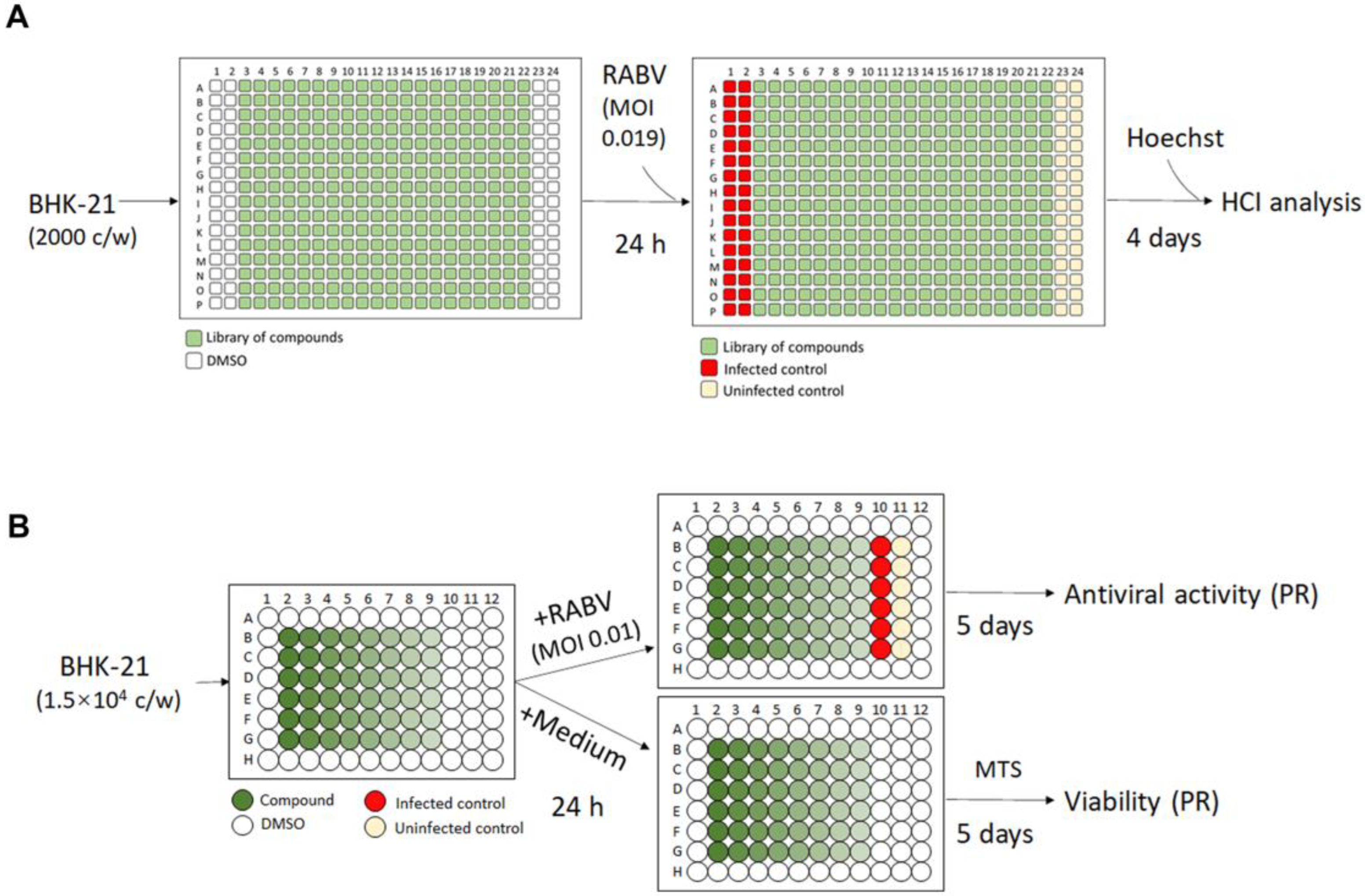 Viruses 15 02292 g002