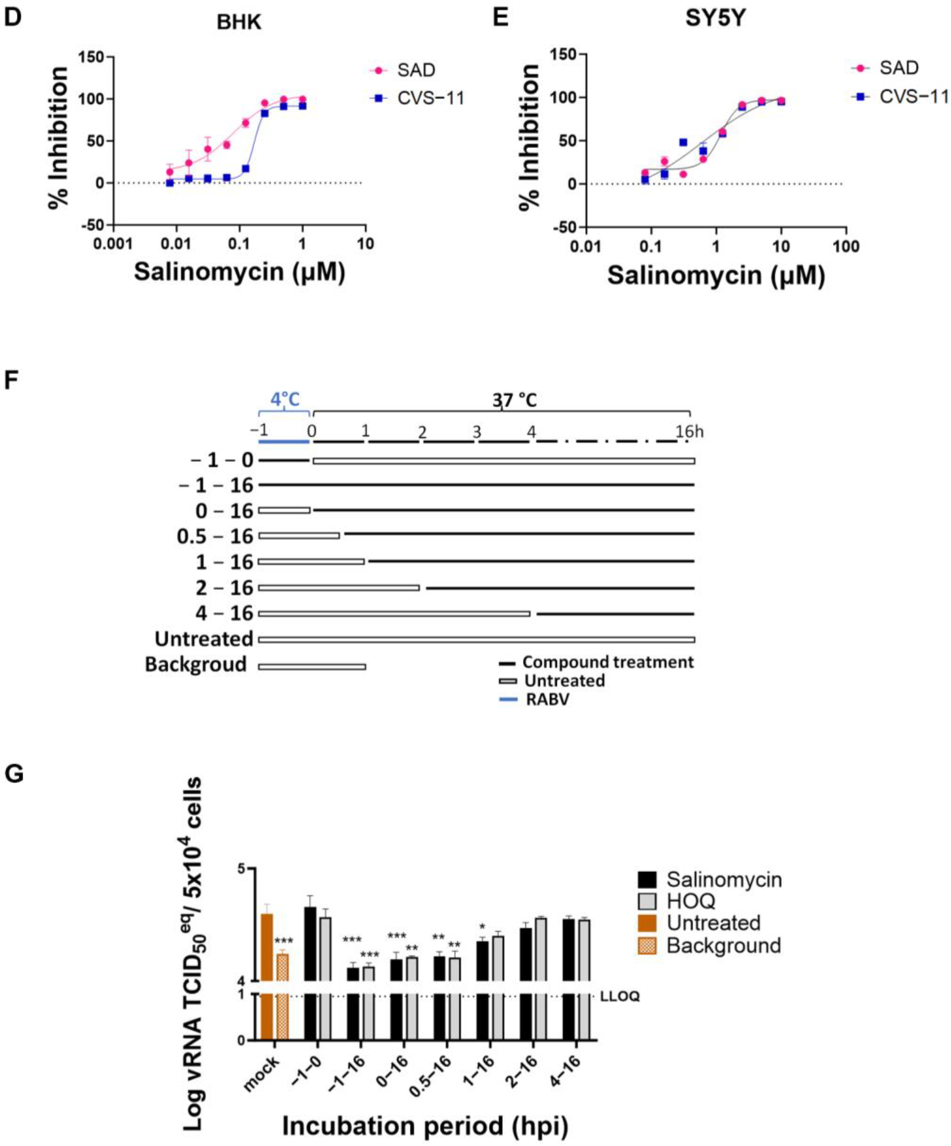 Viruses 15 02292 g004b