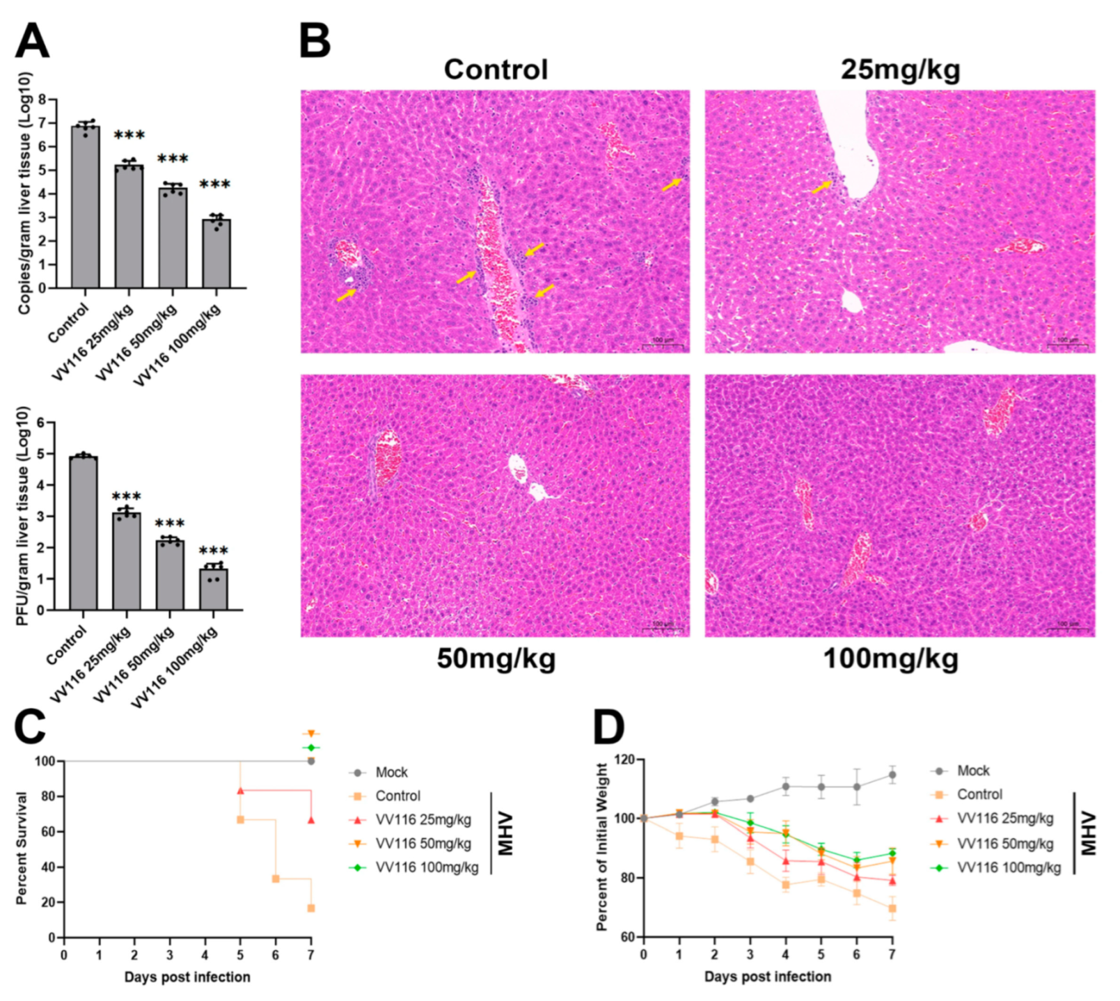 Viruses 15 02295 g004