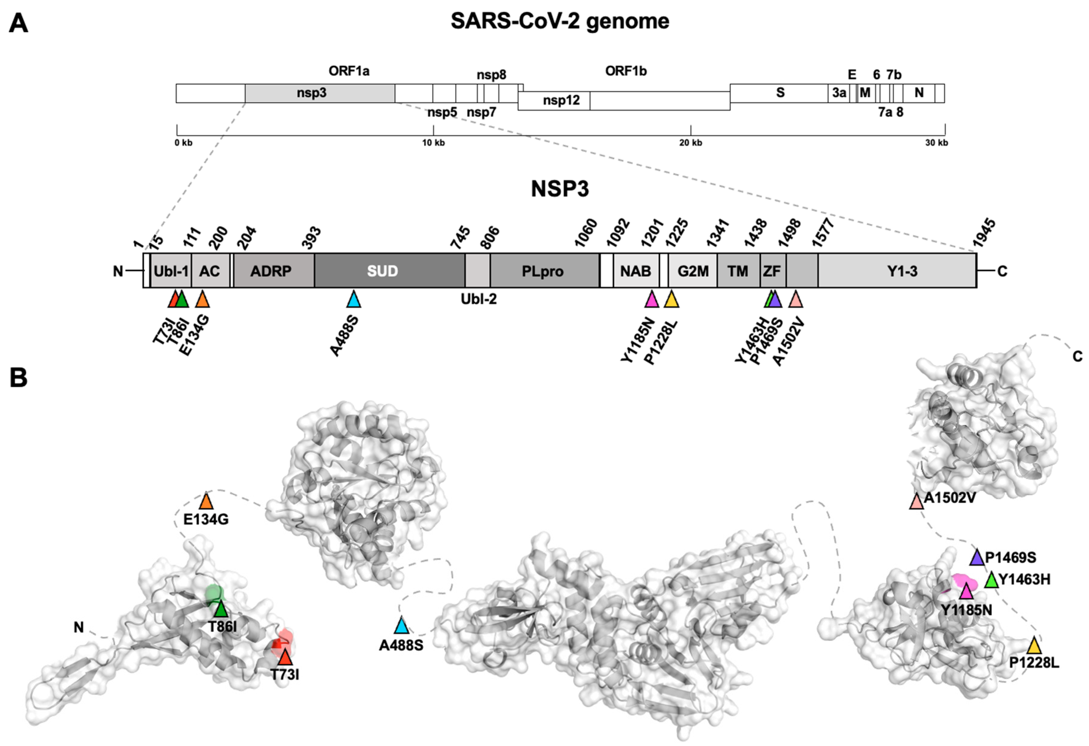 Viruses 15 02309 g003