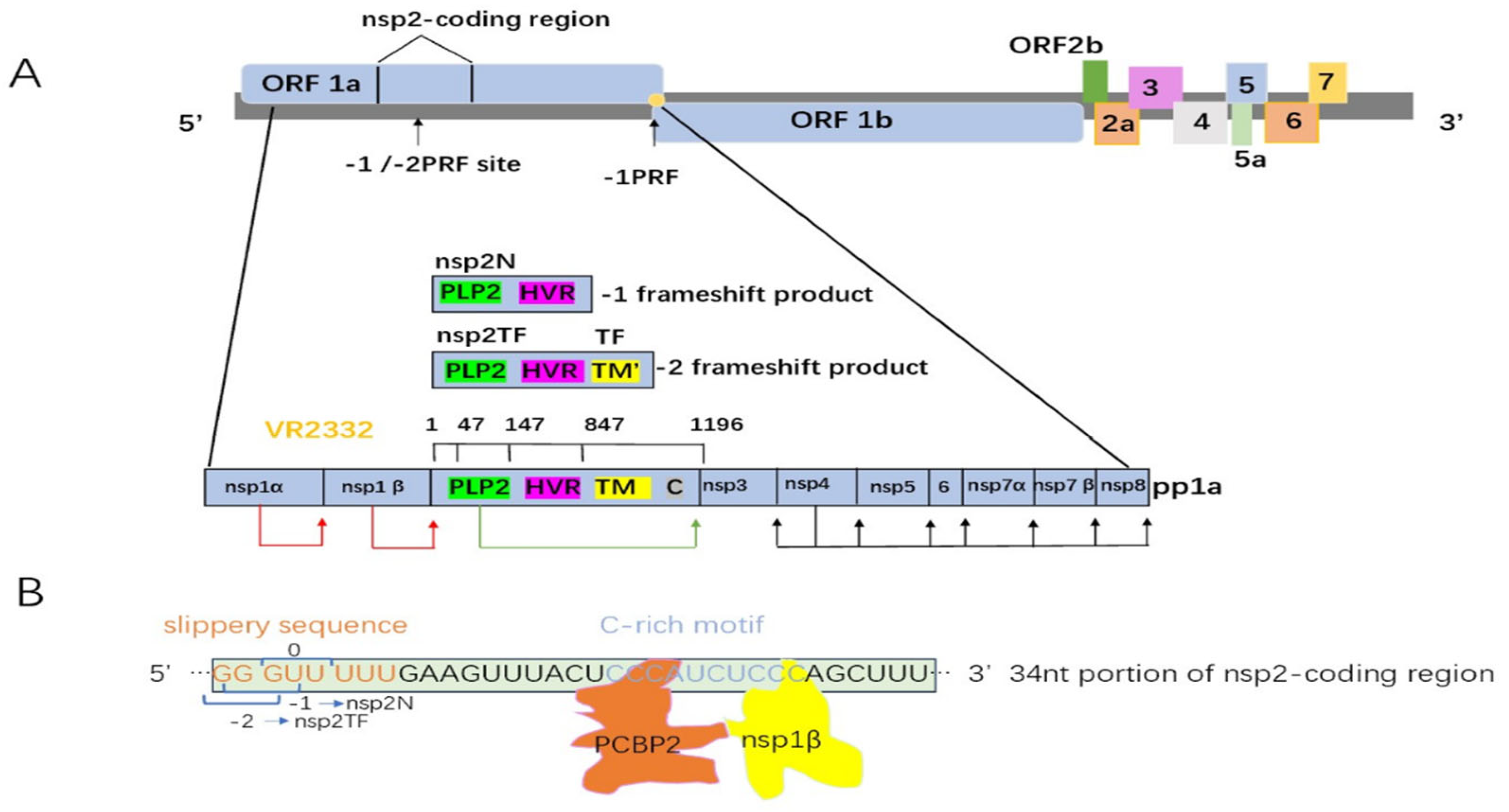 Viruses 15 02310 g001