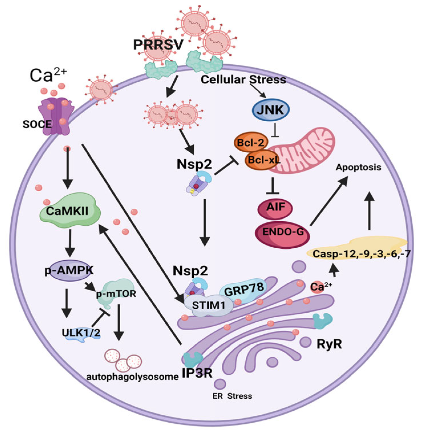 Viruses 15 02310 g003