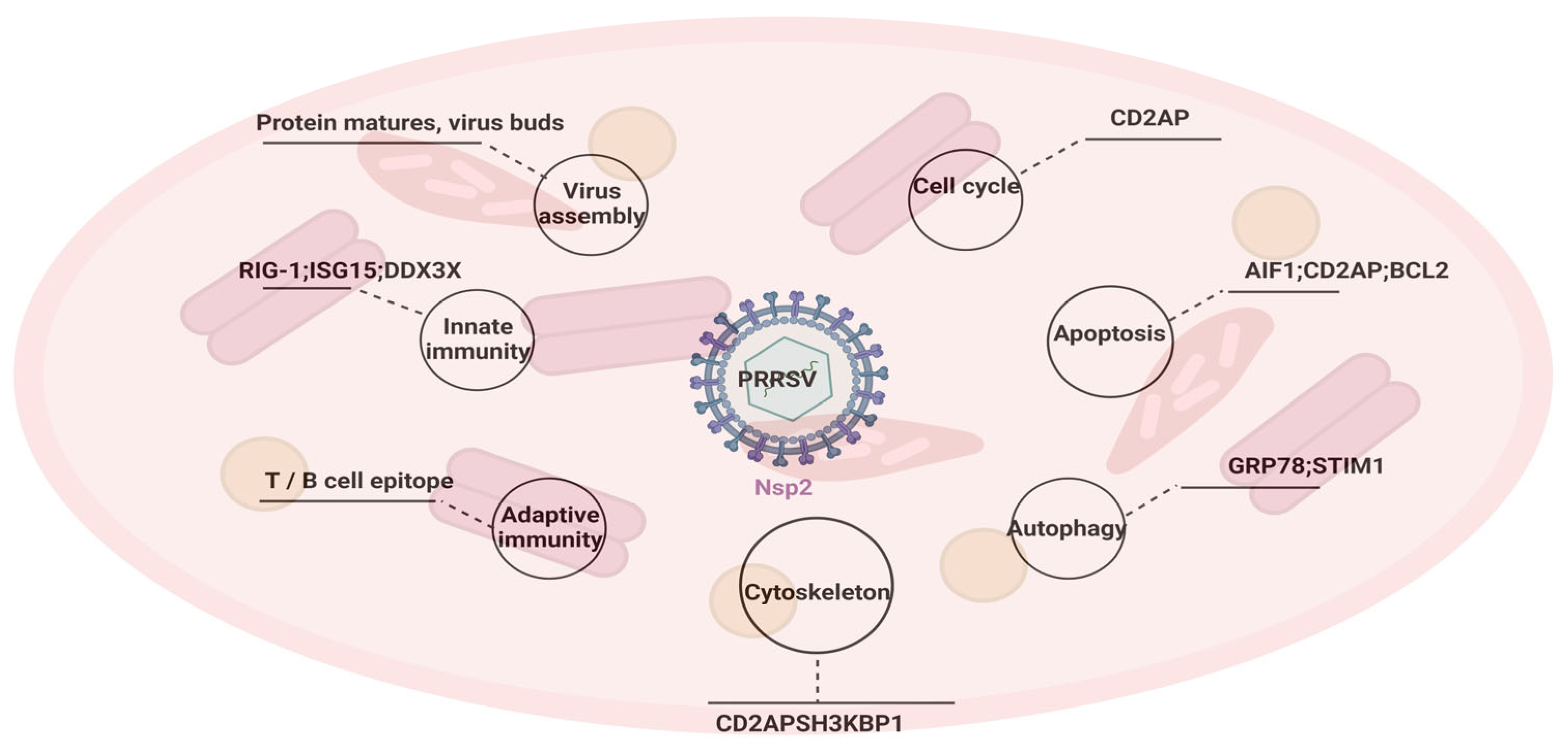 Viruses 15 02310 g004
