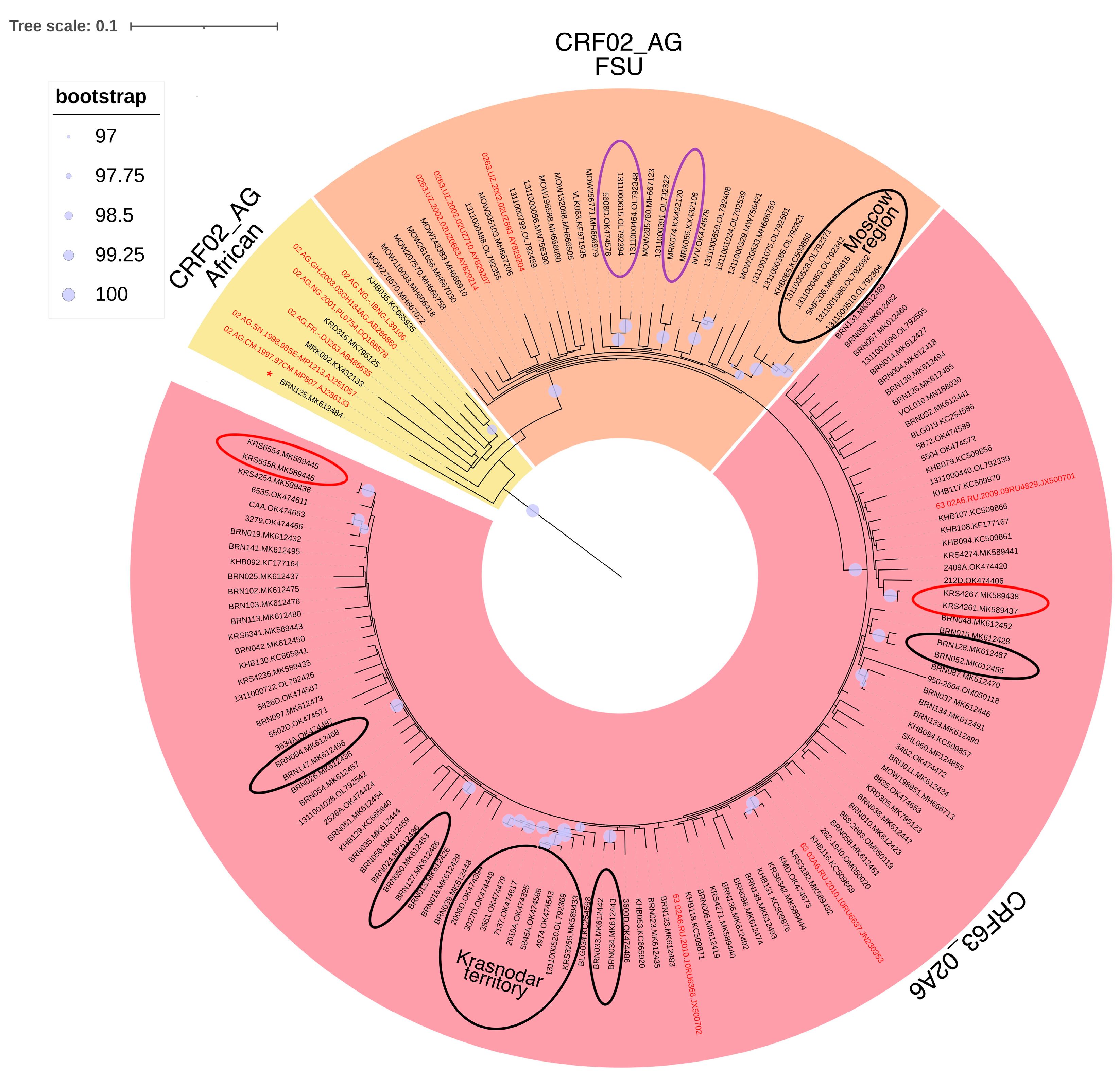 Viruses 15 02312 g002