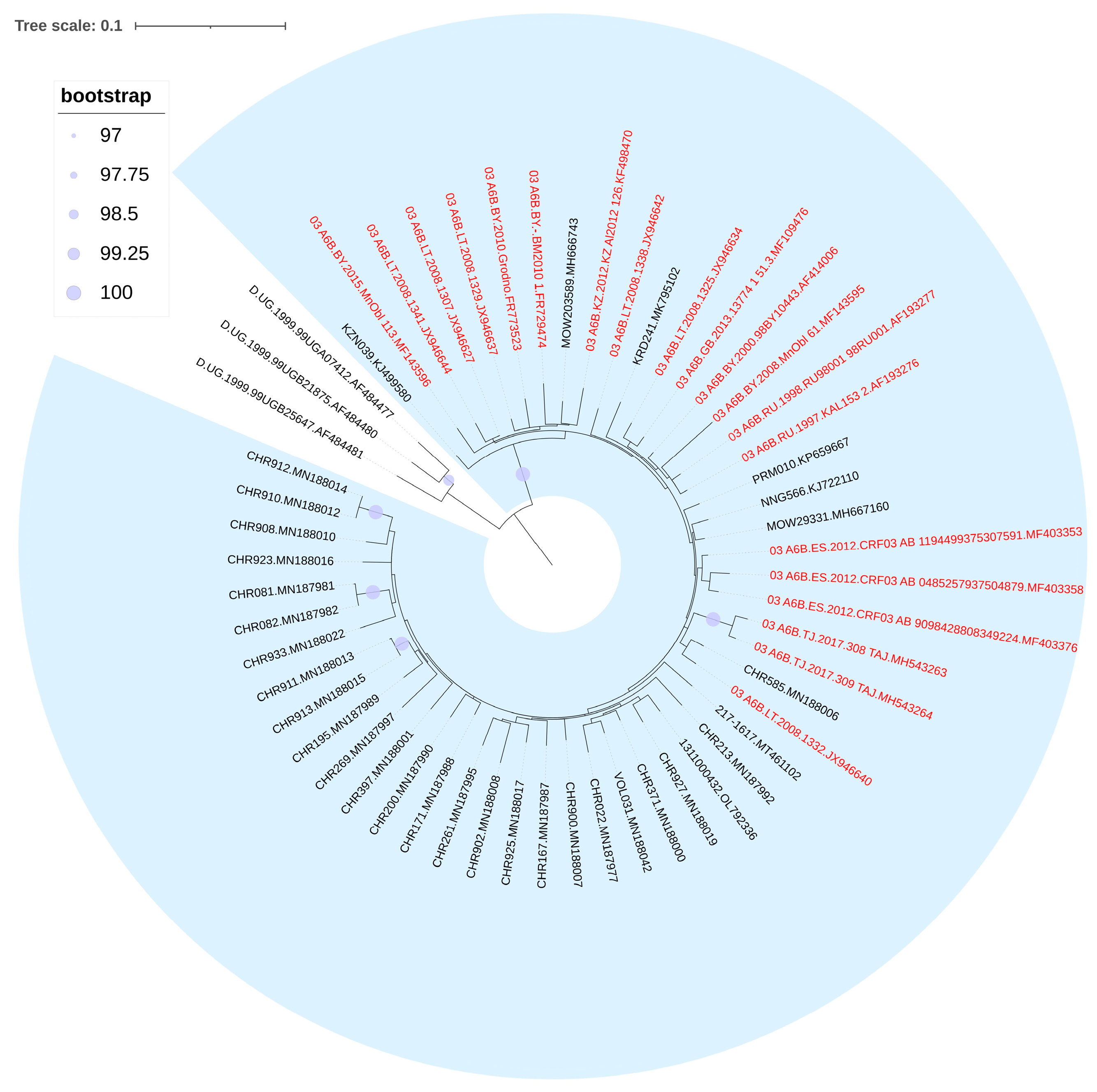 Viruses 15 02312 g003
