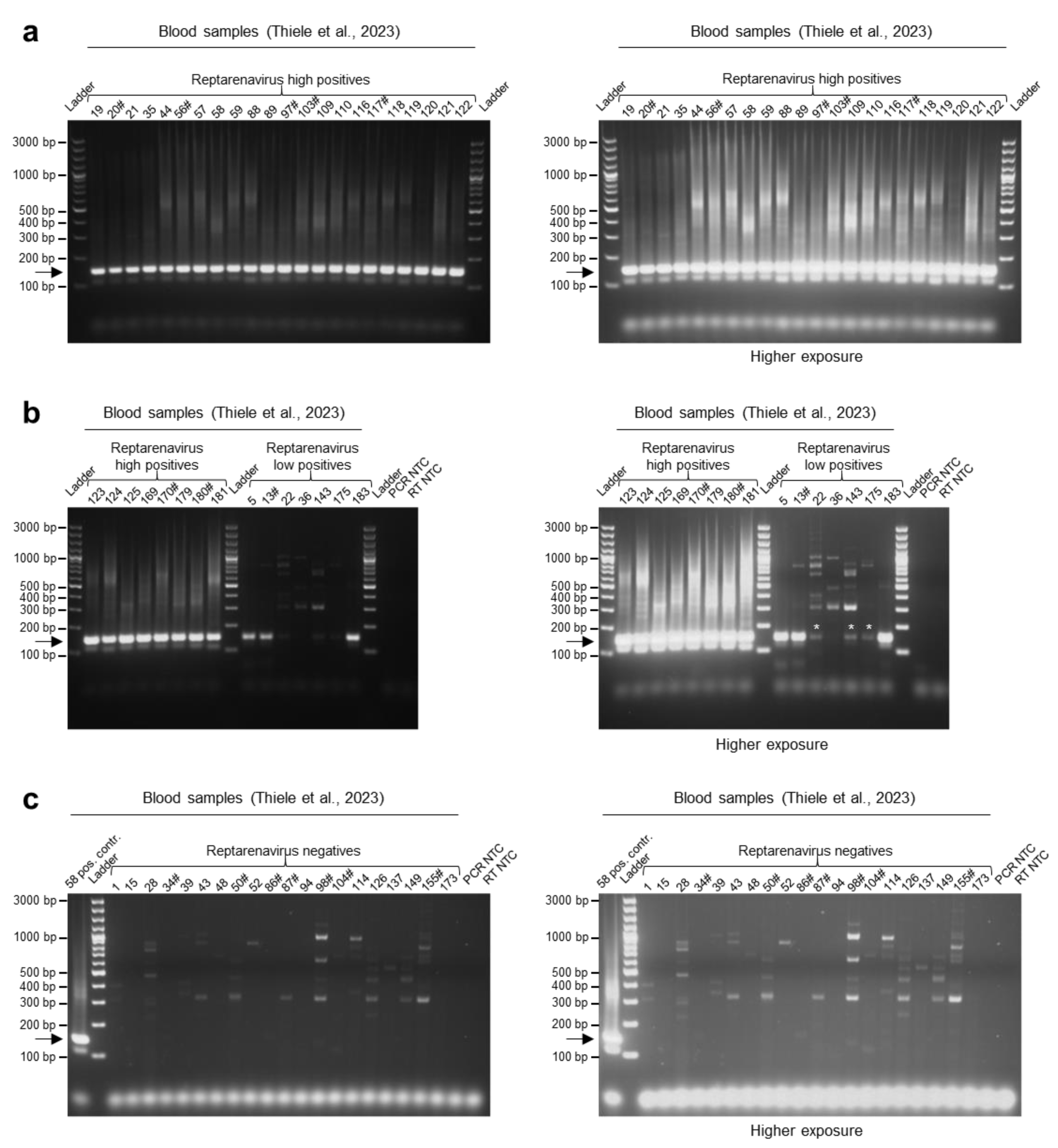 Viruses 15 02313 g003