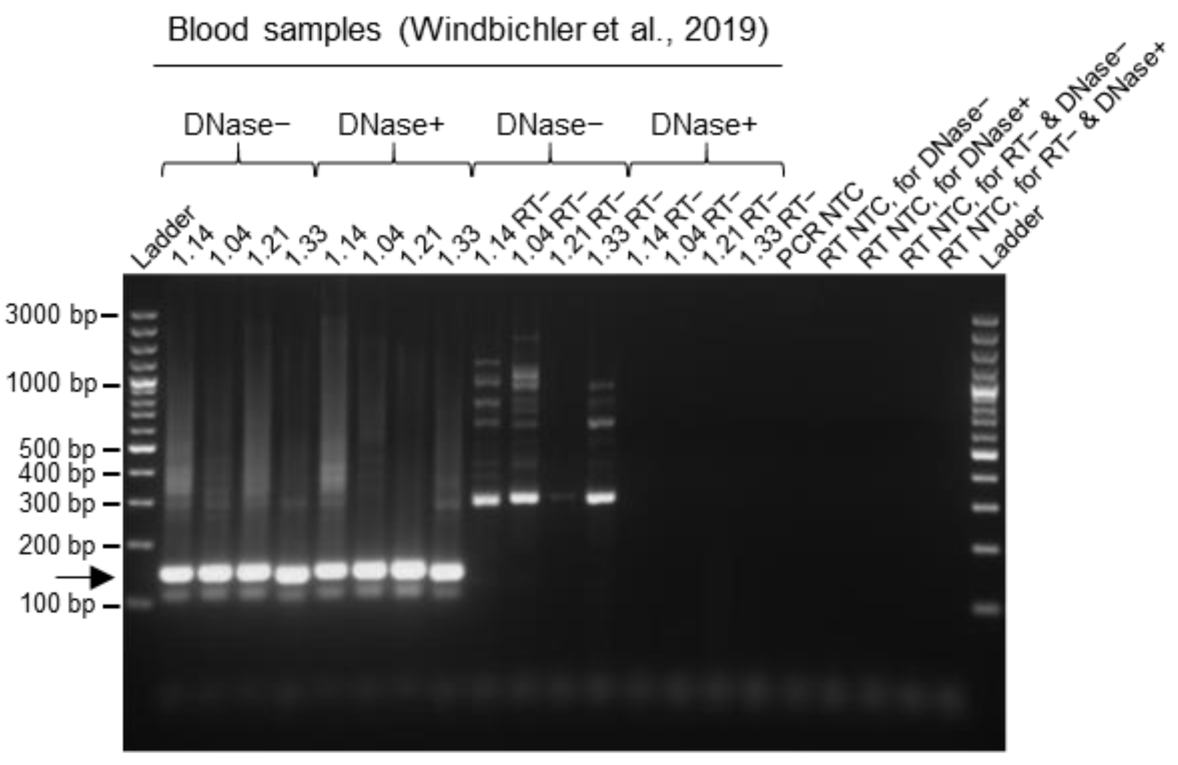 Viruses 15 02313 g005
