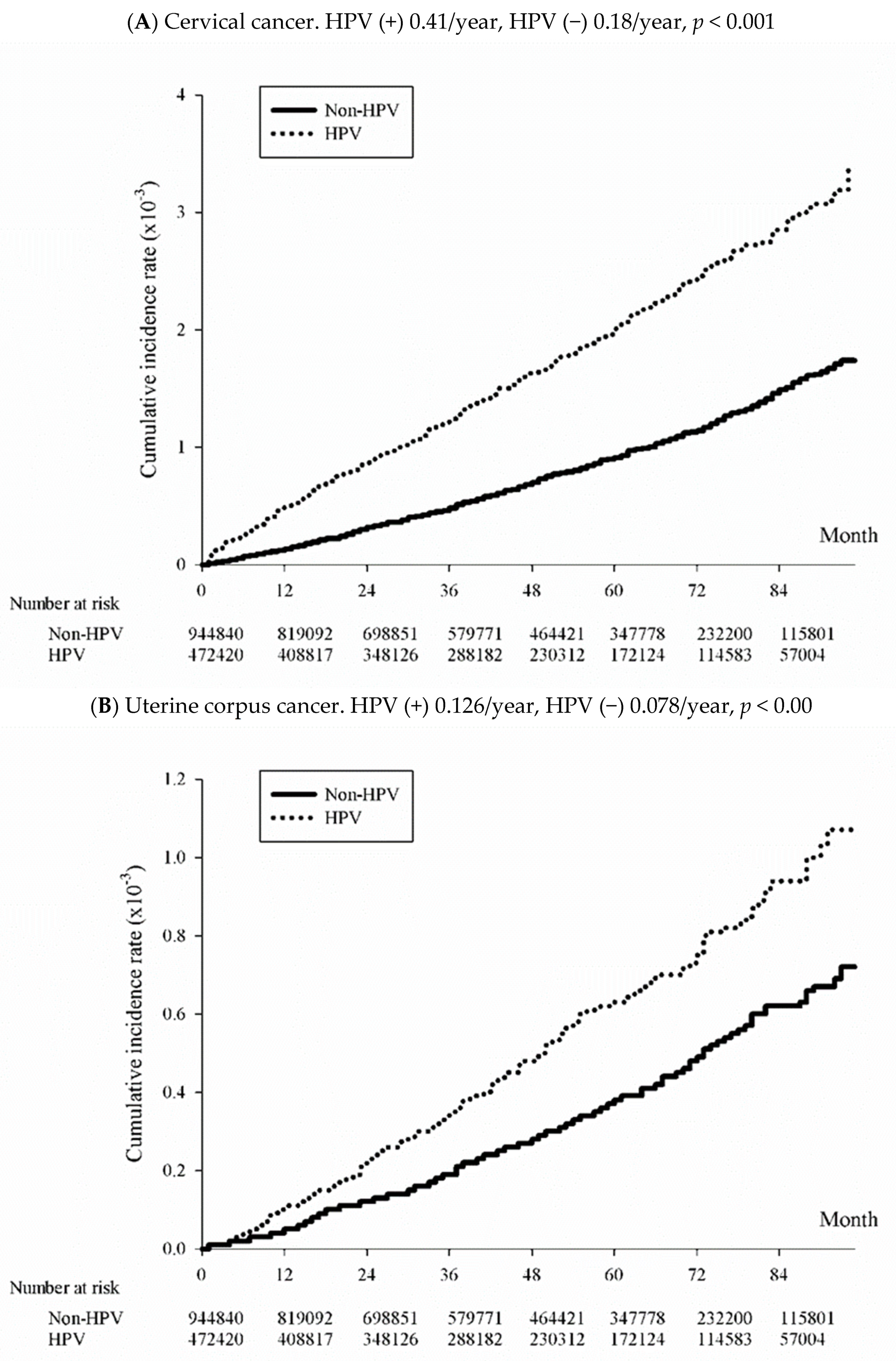 Viruses 15 02314 g002a