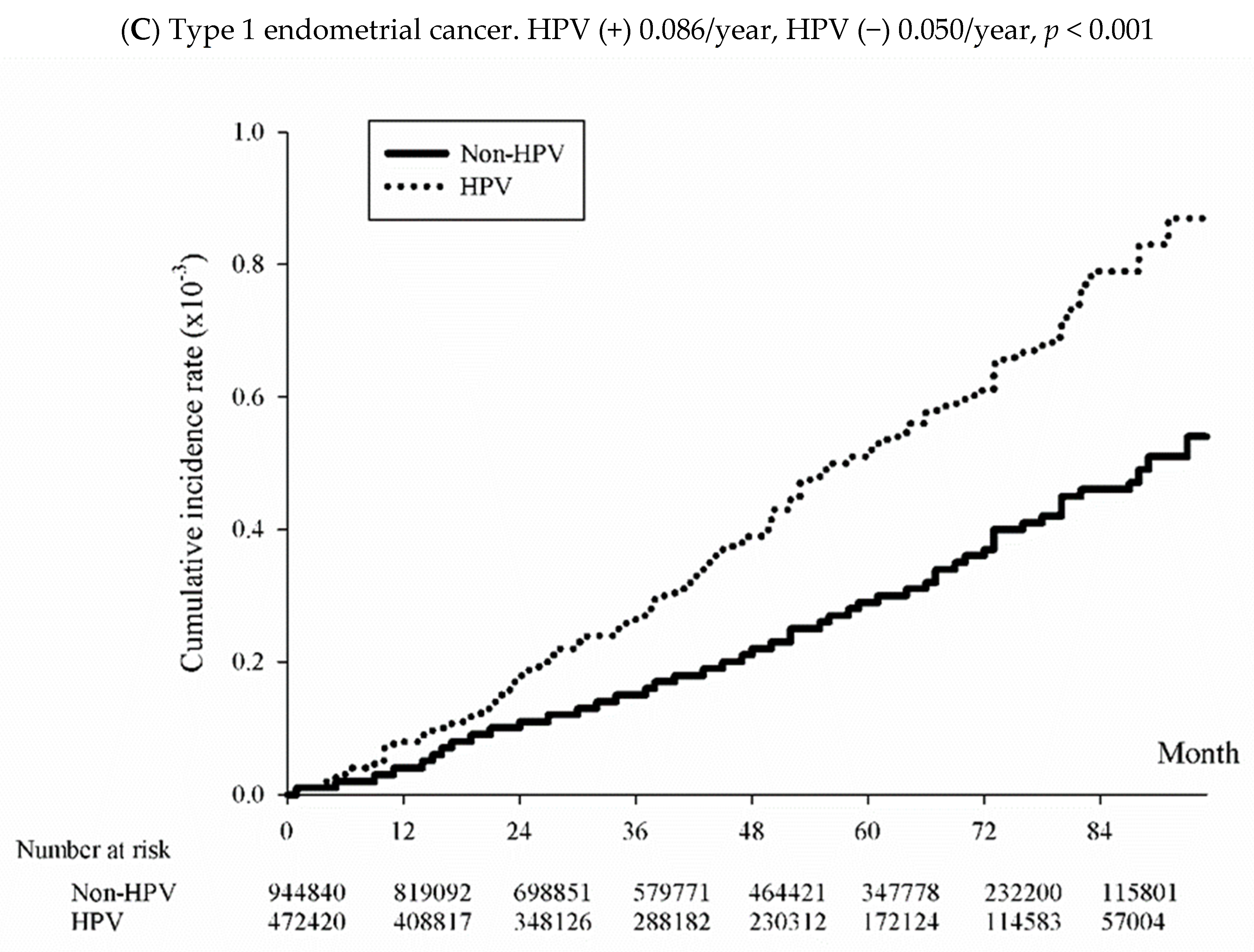 Viruses 15 02314 g002b