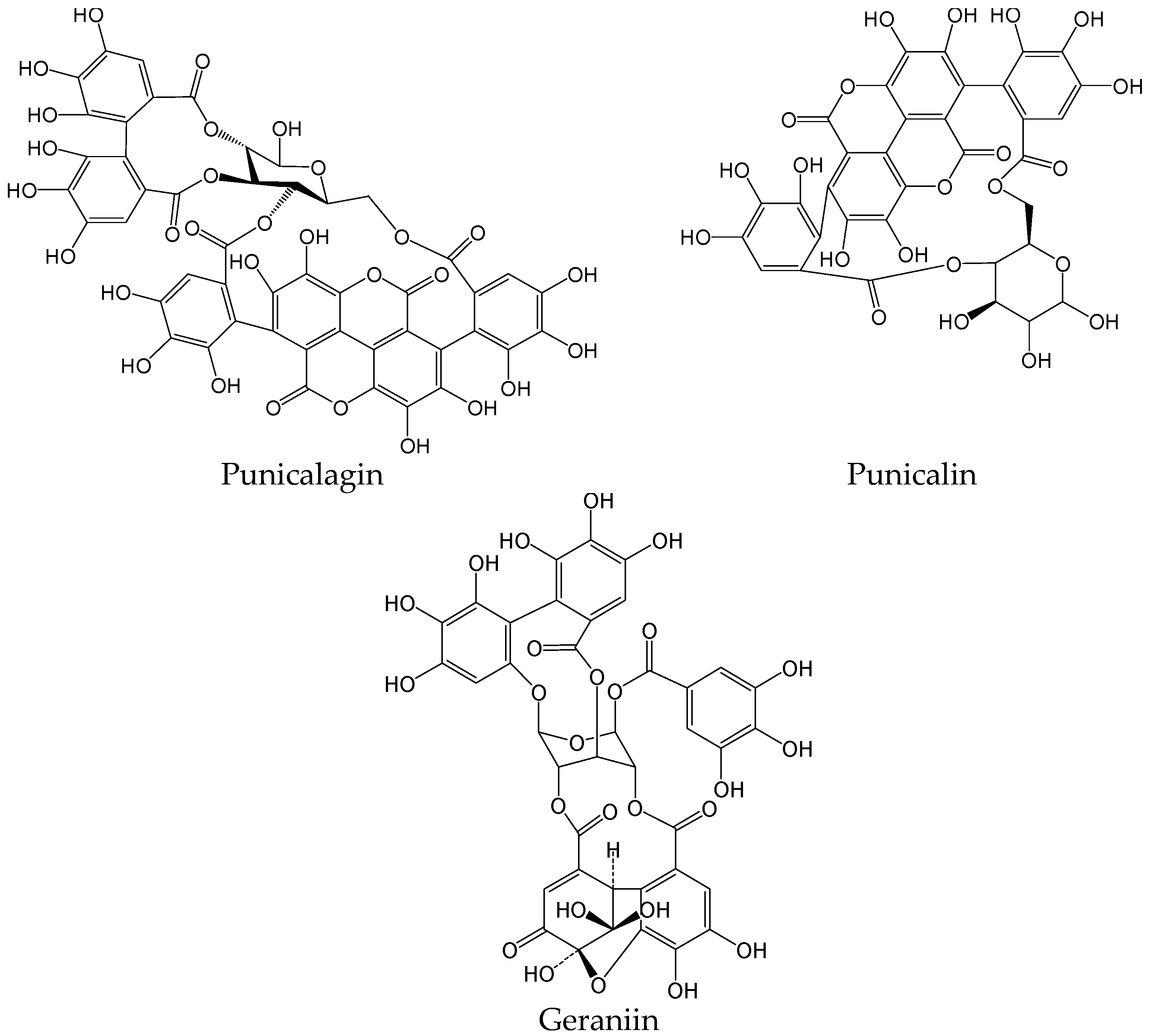 Viruses 15 02315 g021 Viruses 15 02315 g021