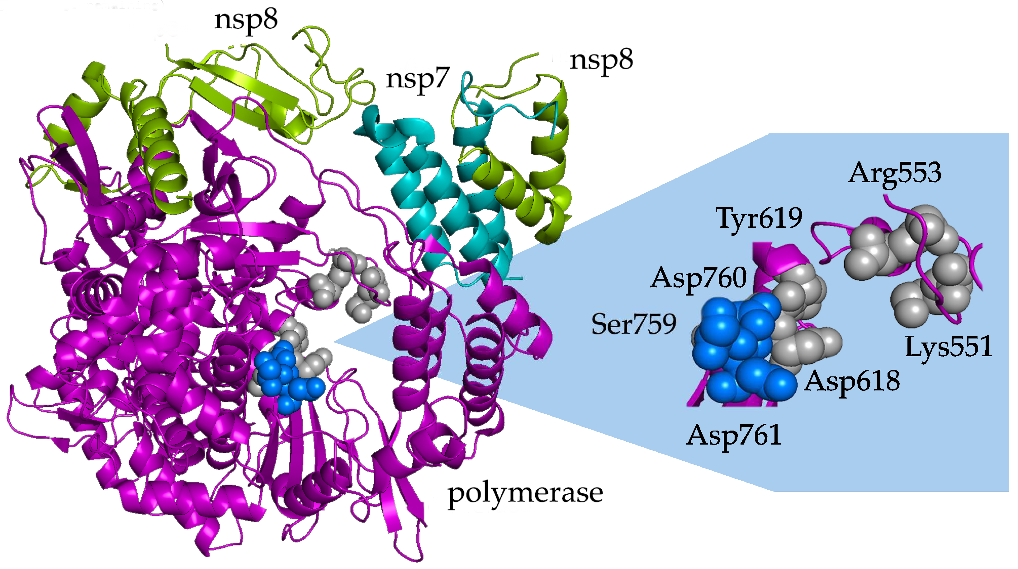 Viruses 15 02316 g002