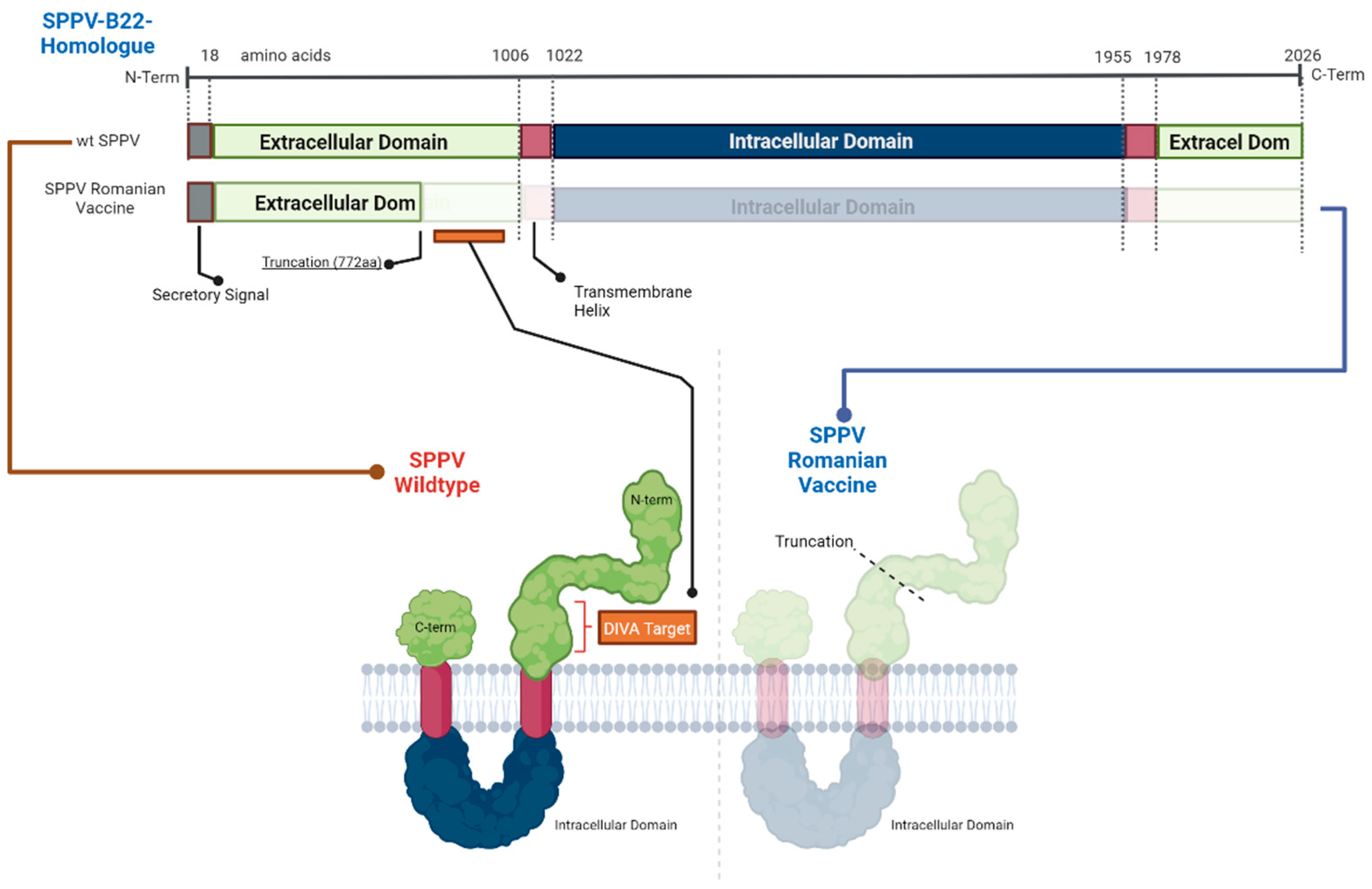 Viruses 15 02318 g002 Viruses 15 02318 g002
