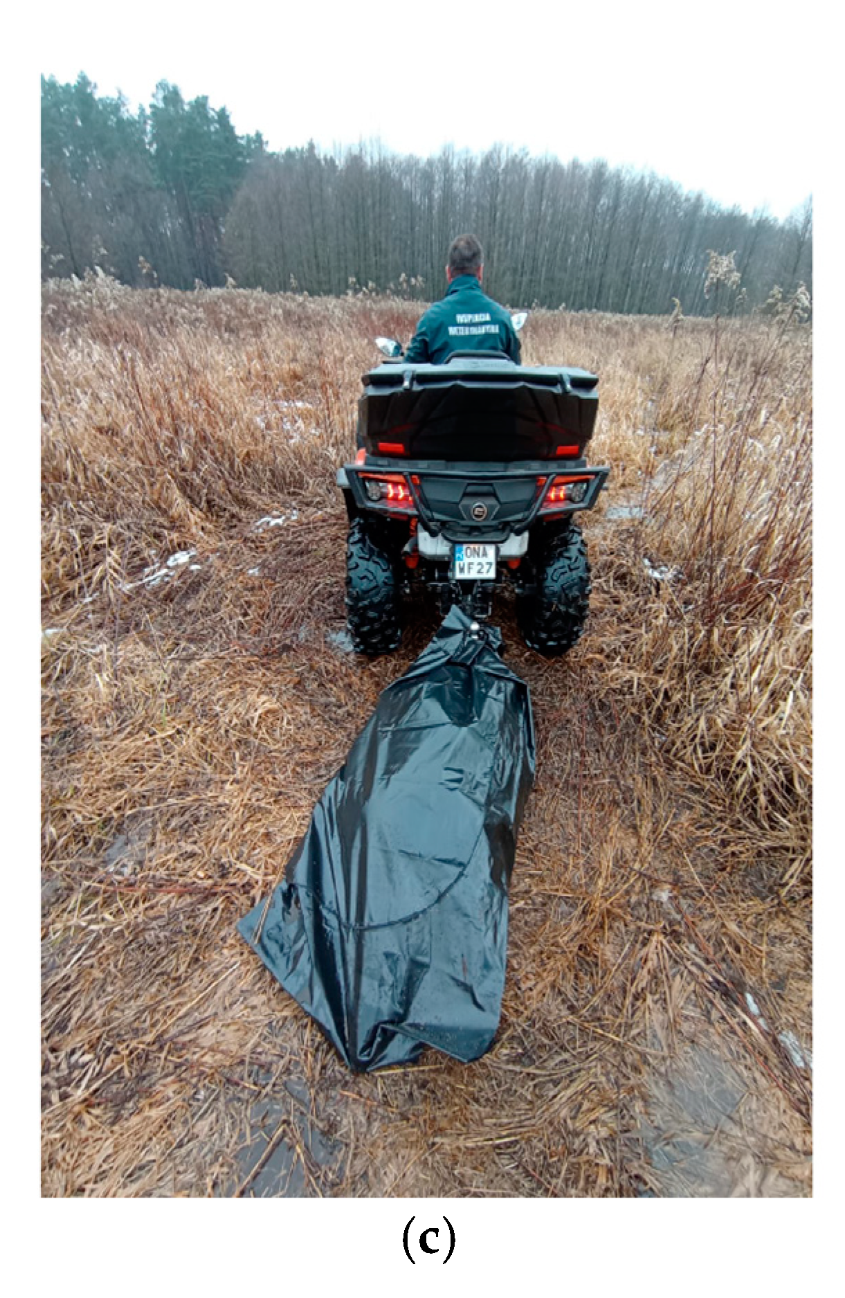 Viruses 15 02325 g006b