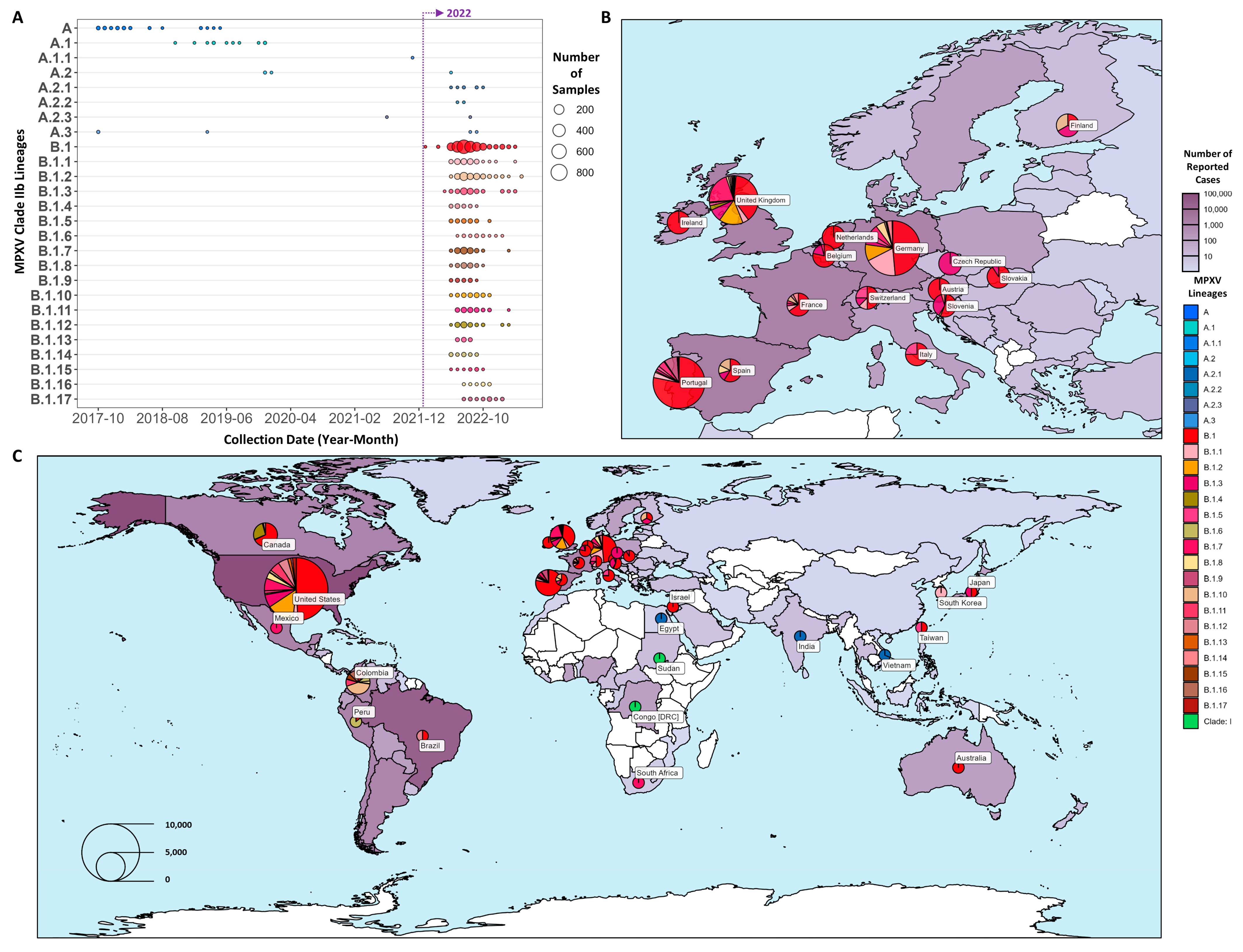 Viruses 15 02327 g002