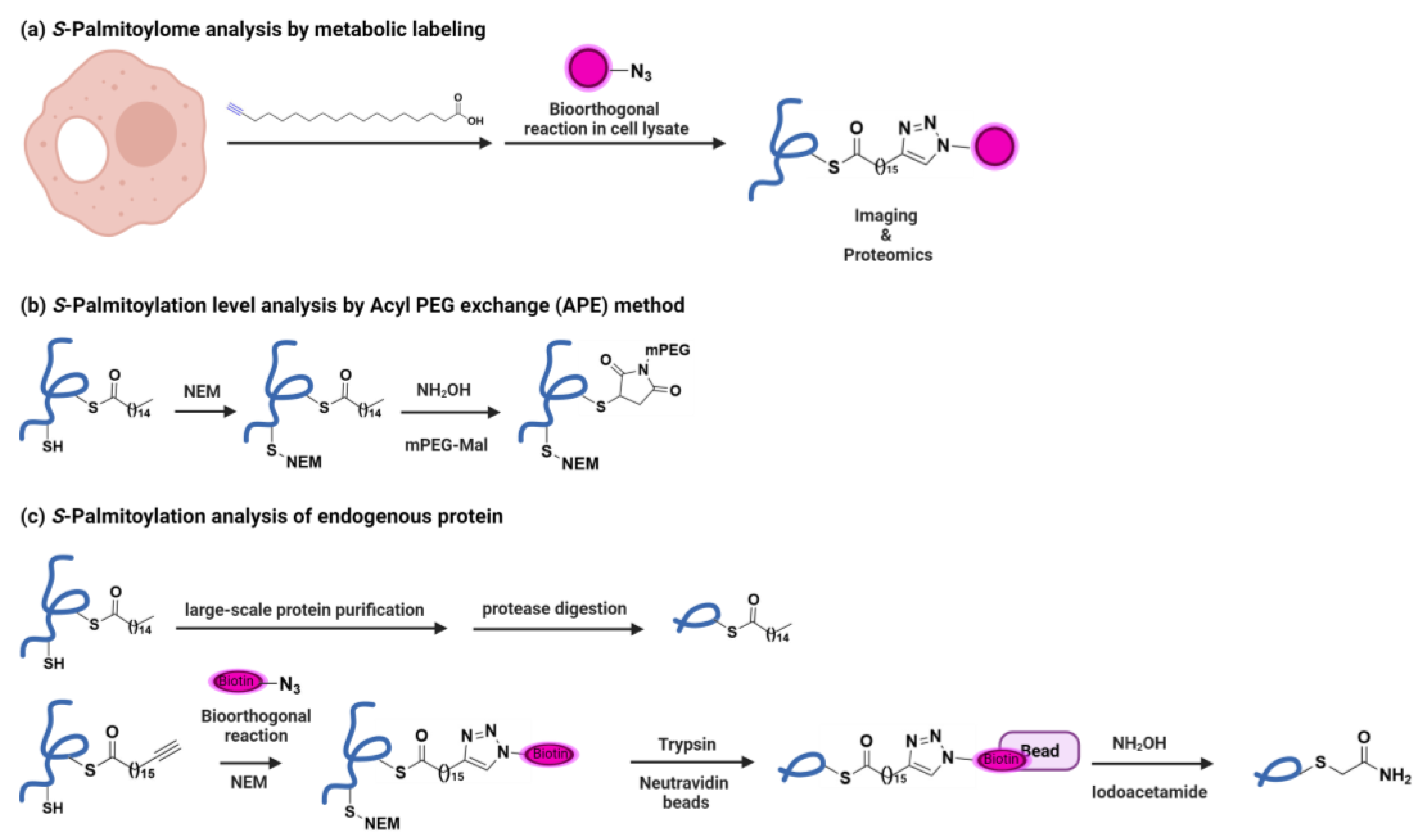 Viruses 15 02329 g002