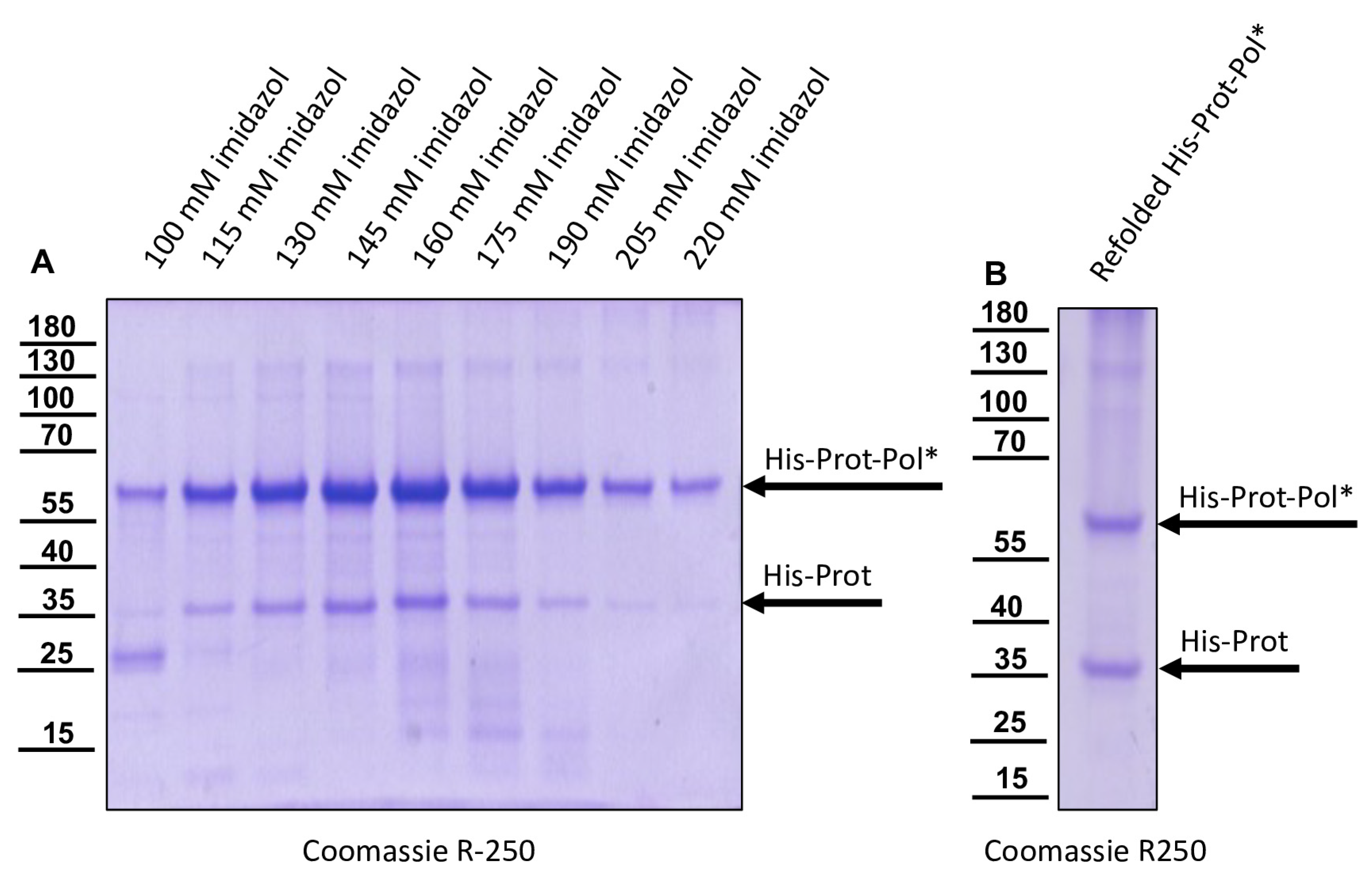 Viruses 15 02344 g003