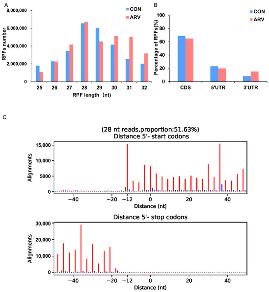 Frontiers  Splenic protection network revealed by transcriptome