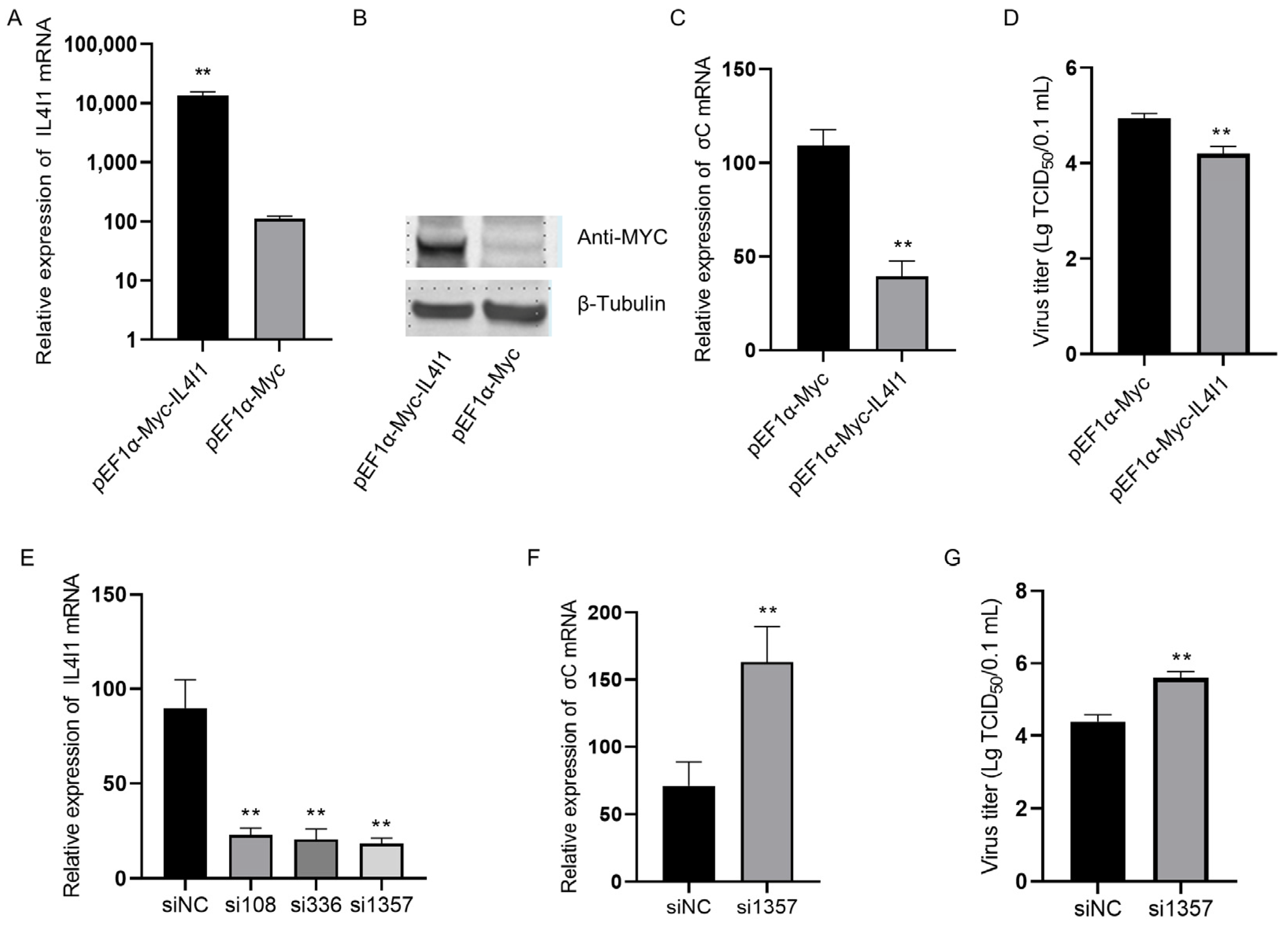 Viruses 15 02346 g005 Viruses 15 02346 g005