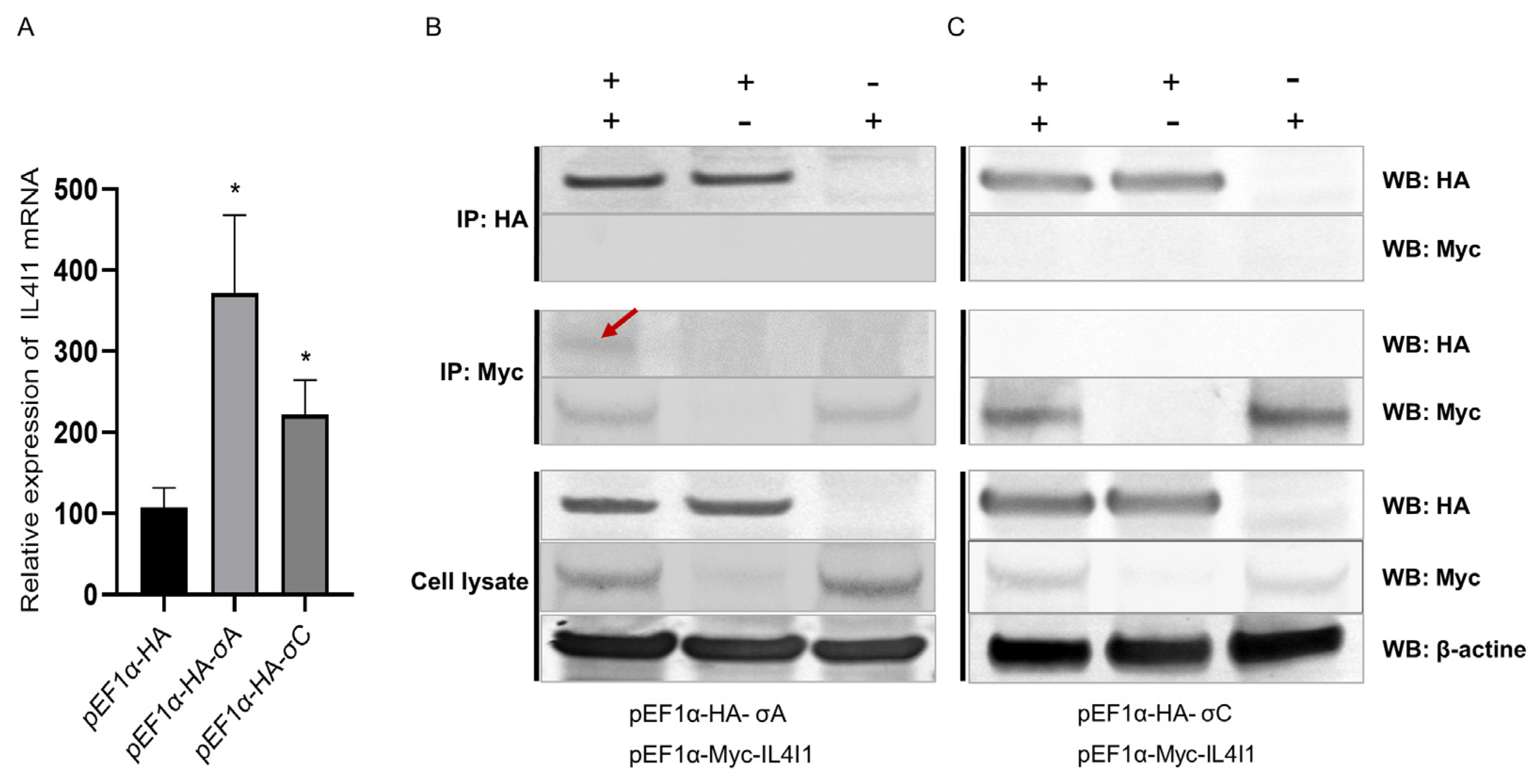 Viruses 15 02346 g007 Viruses 15 02346 g007