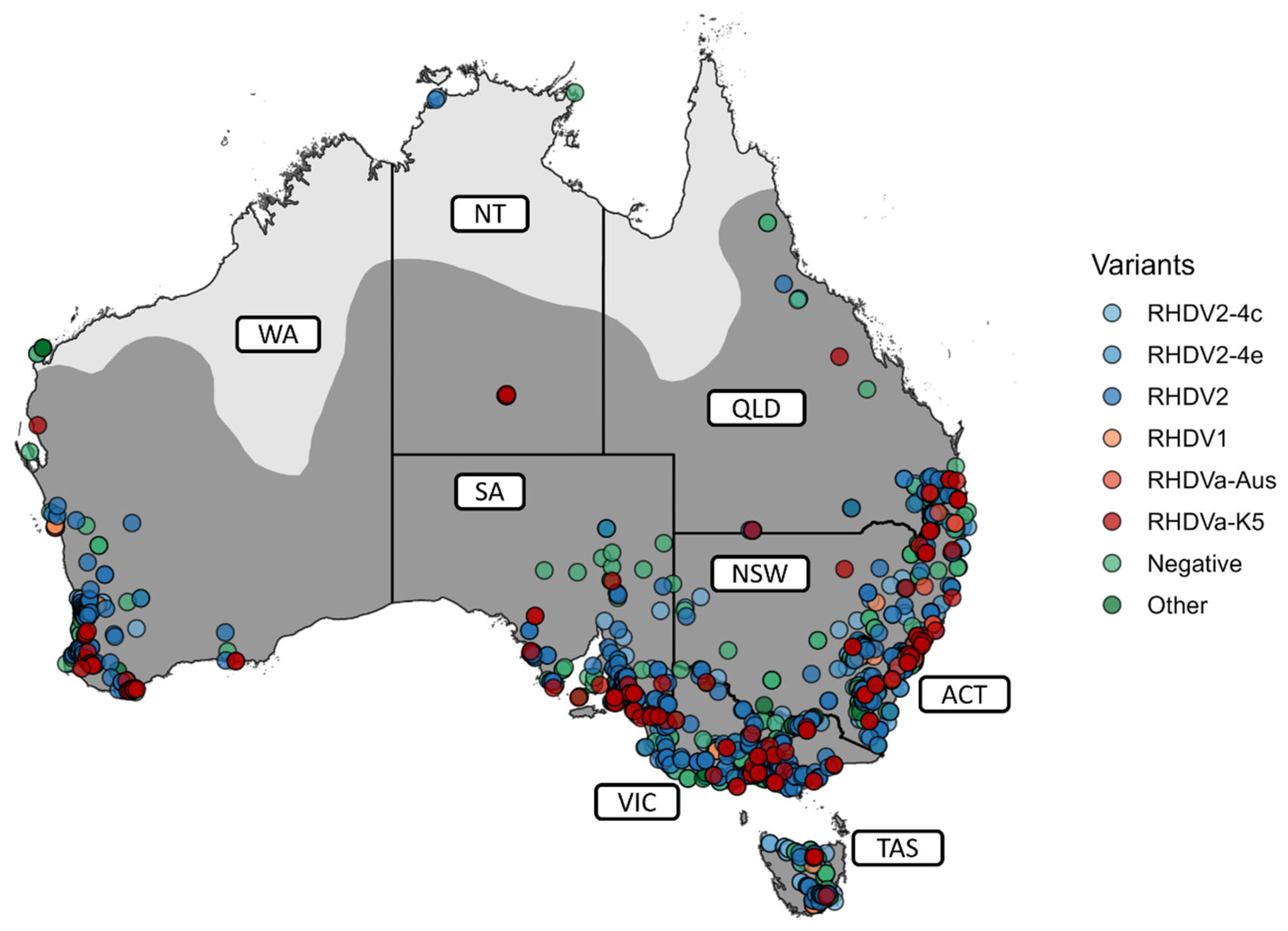 Viruses 15 02348 g002