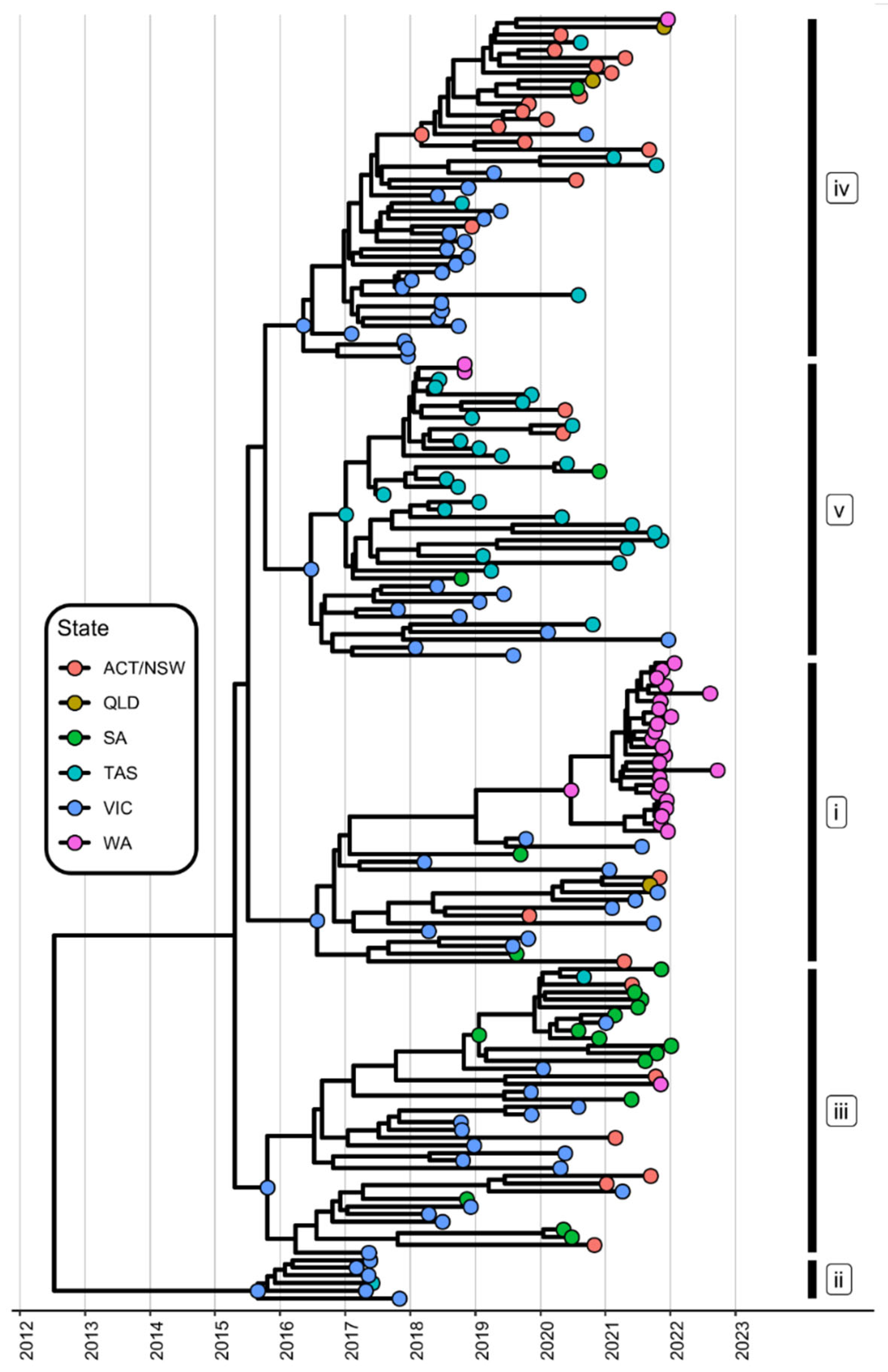 Viruses 15 02348 g004