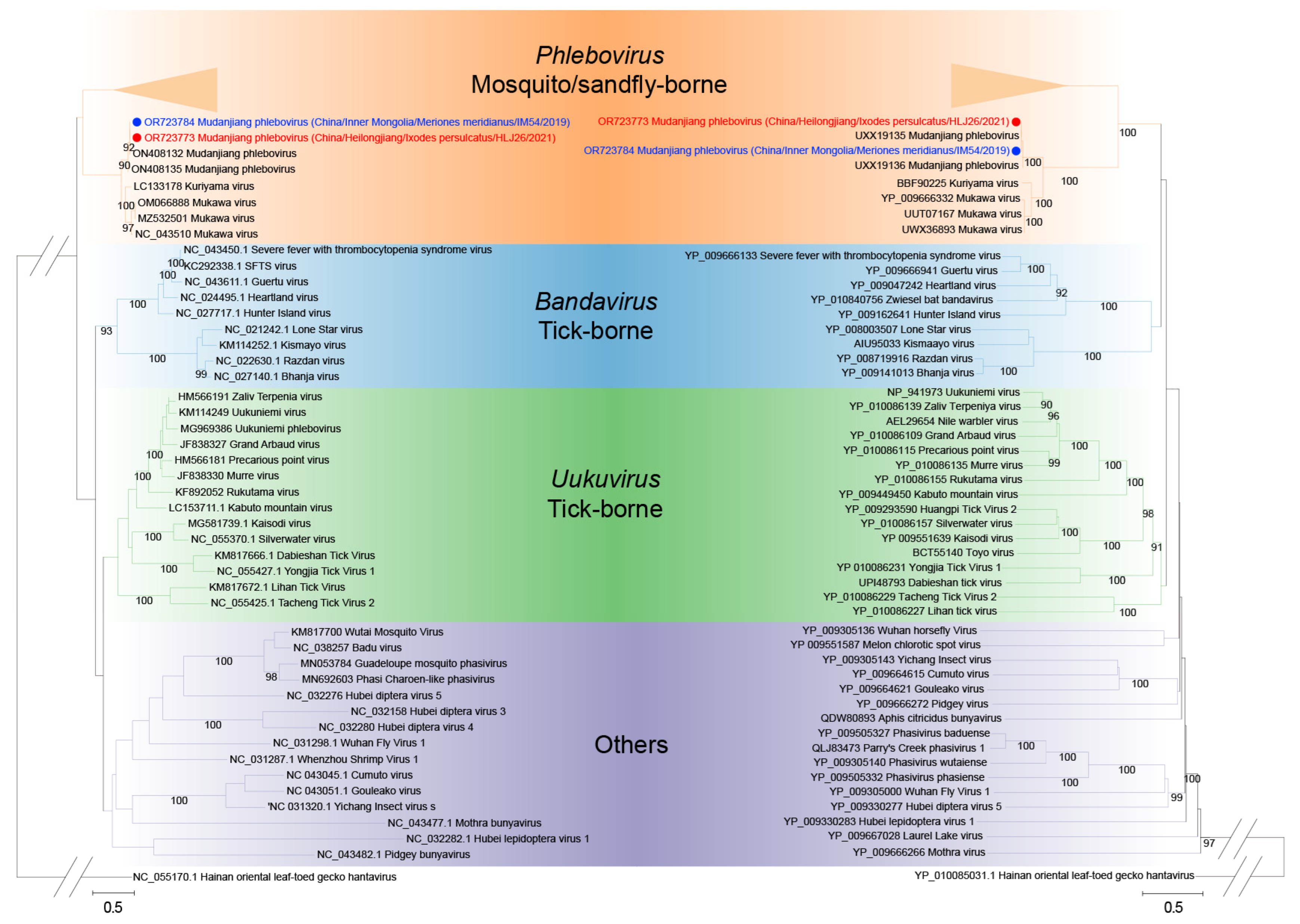 Viruses 15 02353 g002