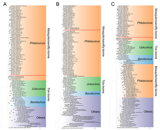 Viruses | free full-text | identification of mudanjiang phlebovirus in