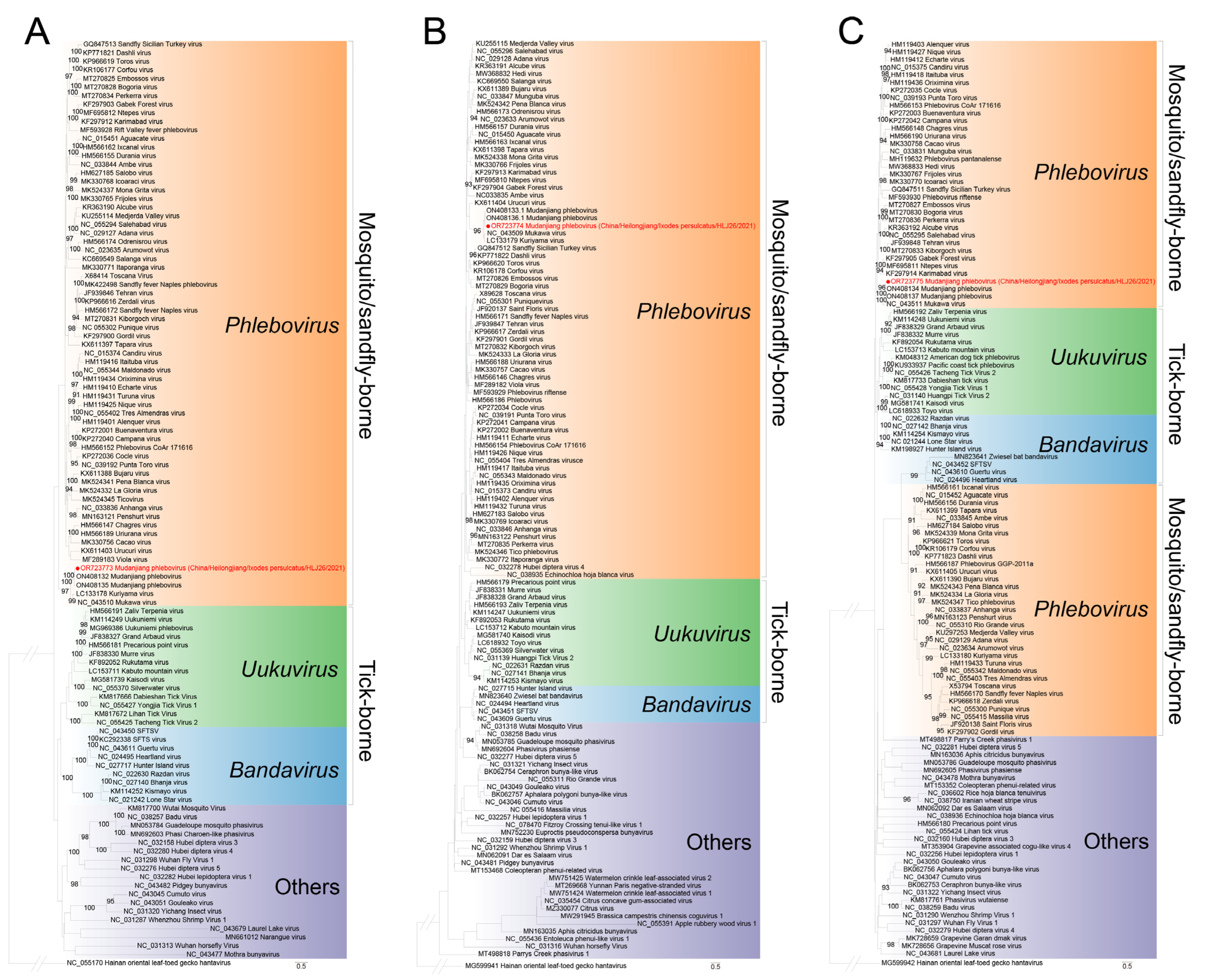 Viruses 15 02353 g003
