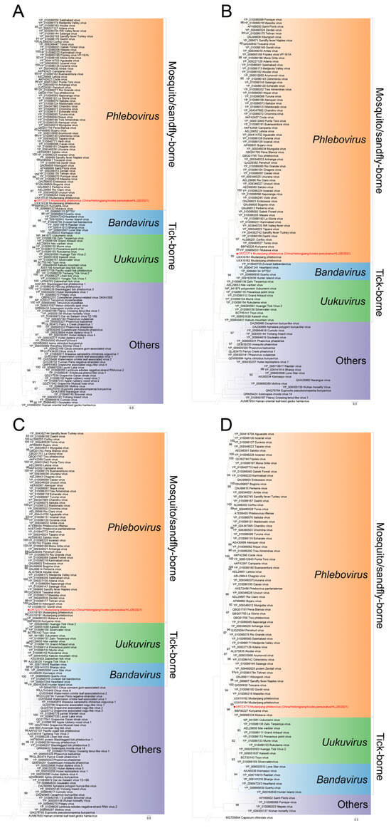 Viruses | free full-text | identification of mudanjiang phlebovirus in