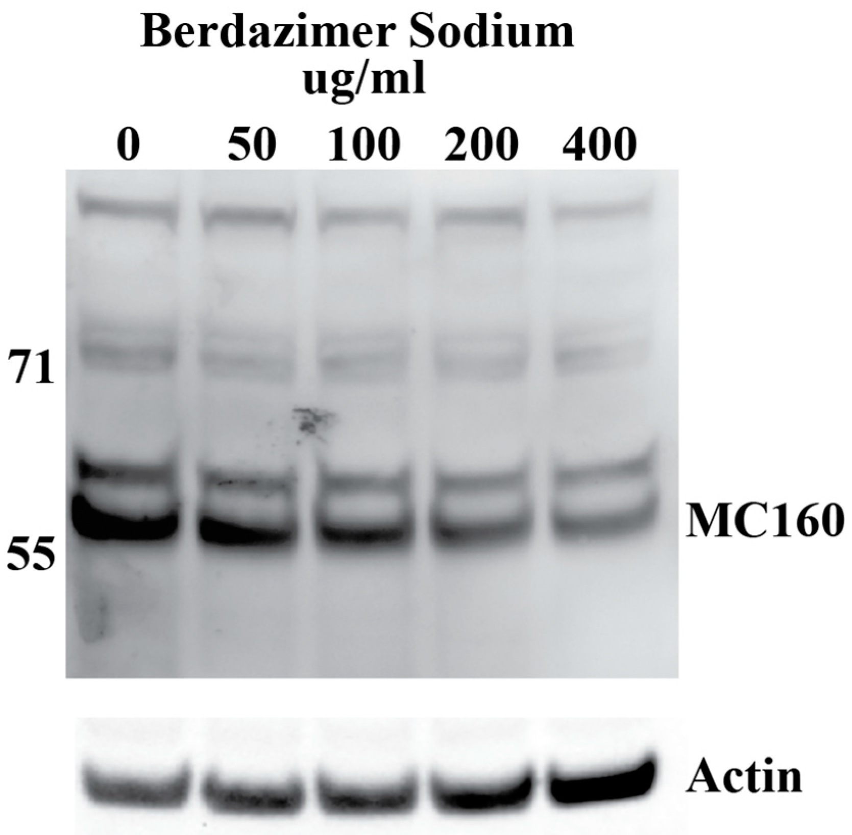 Viruses 15 02360 g005