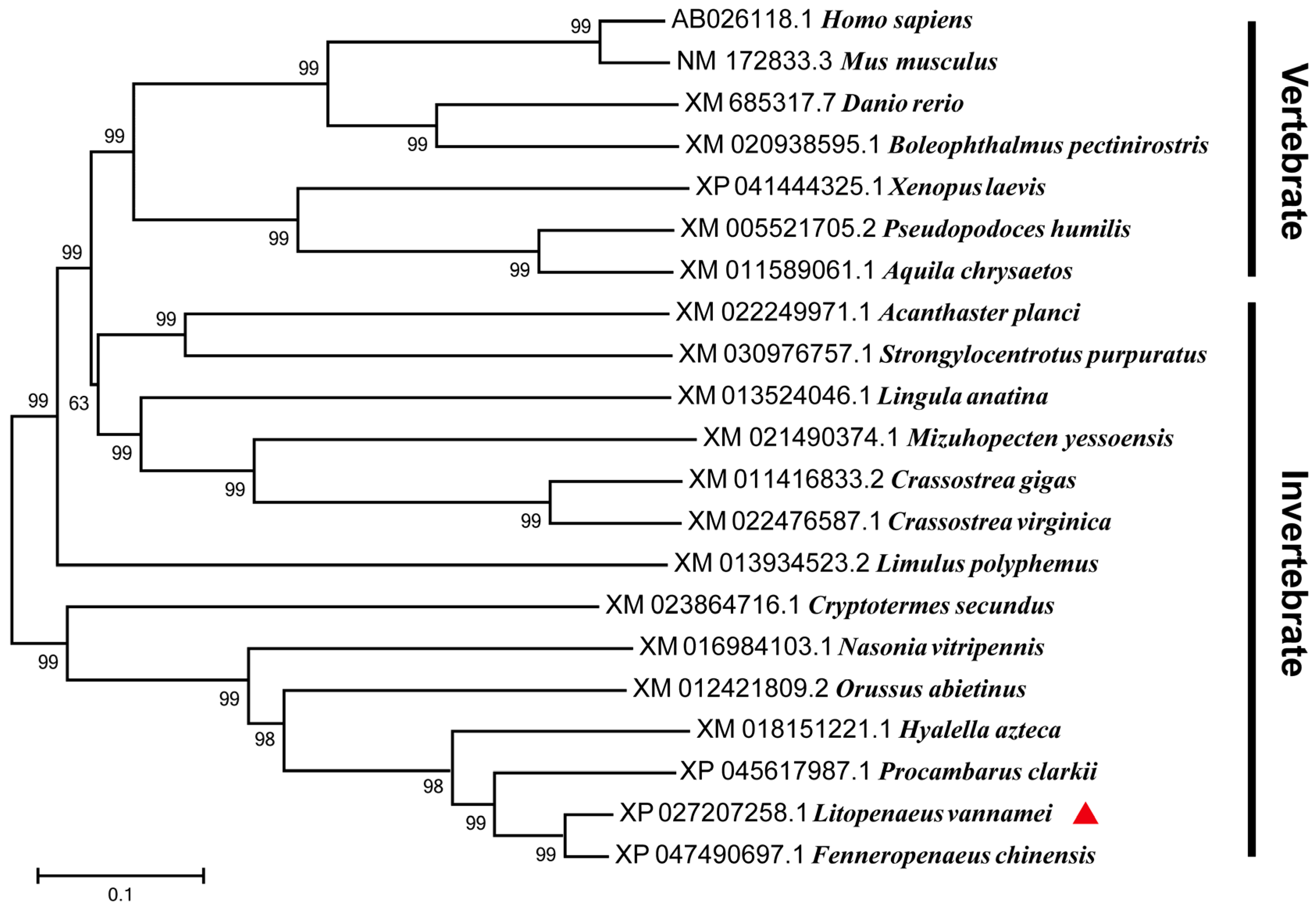 Viruses 15 02361 g002